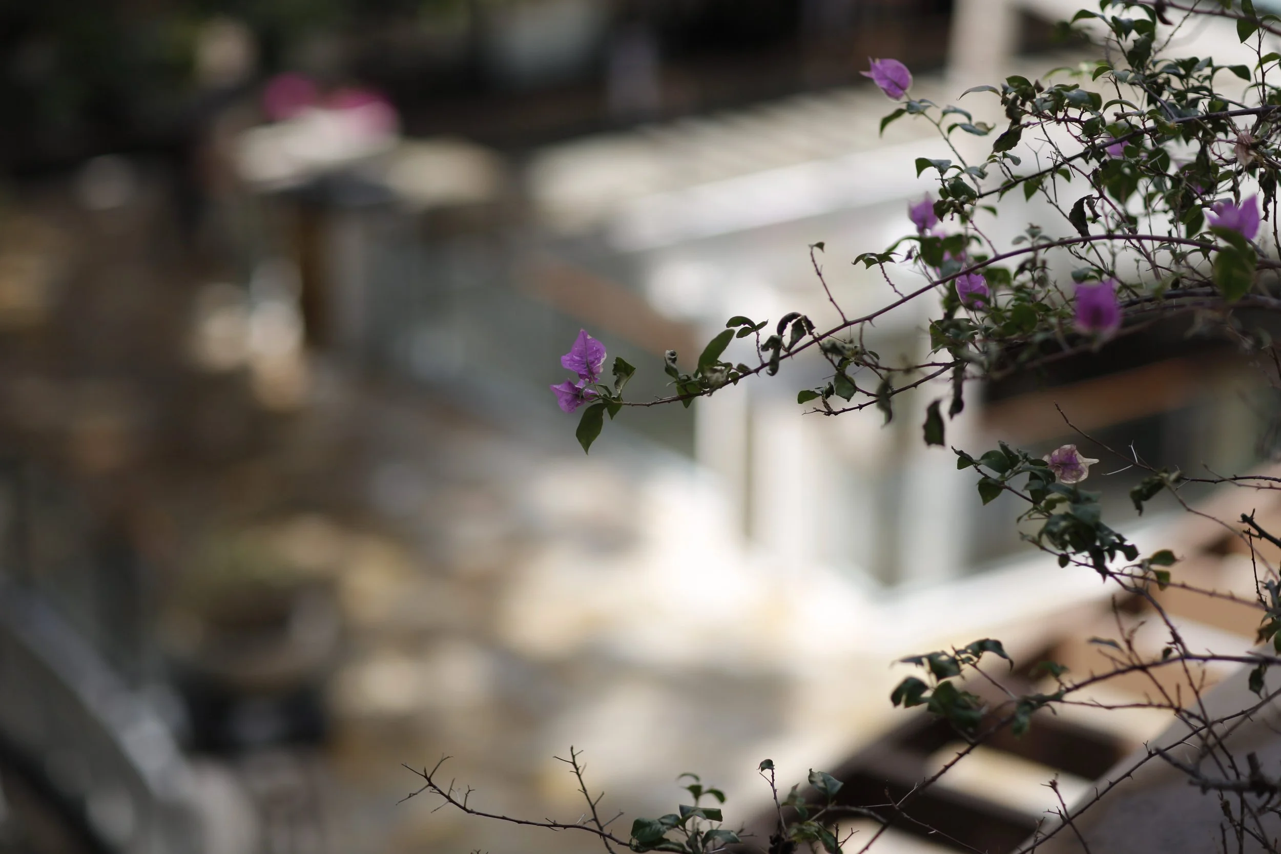 INTERNATIONAL MARKET