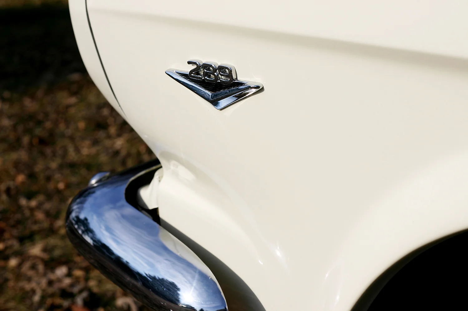 DistinctiveRevival_1966MUSTANG_3.jpg