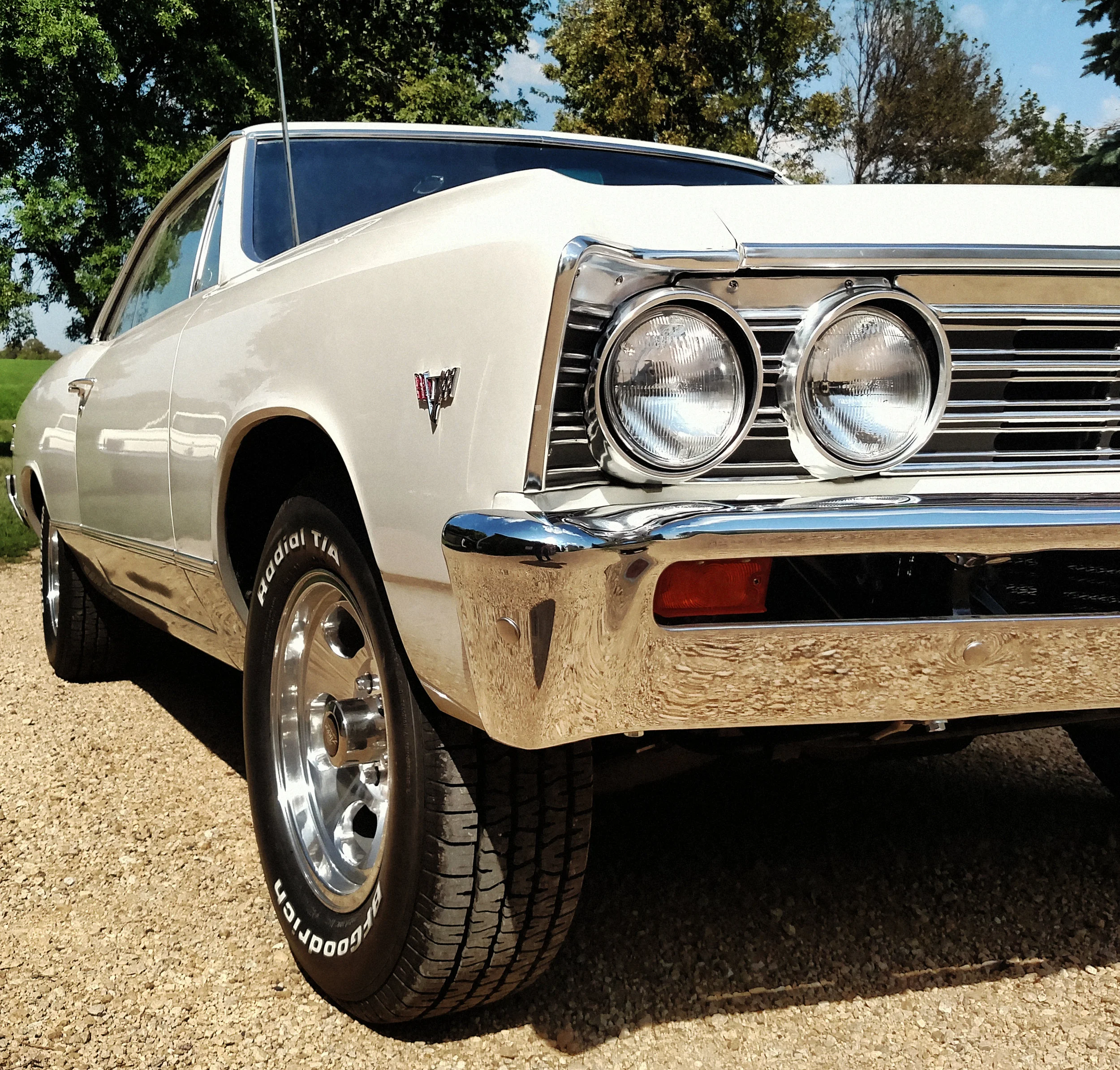 DistinctiveRevival_1967CHEVELLE_1.jpg