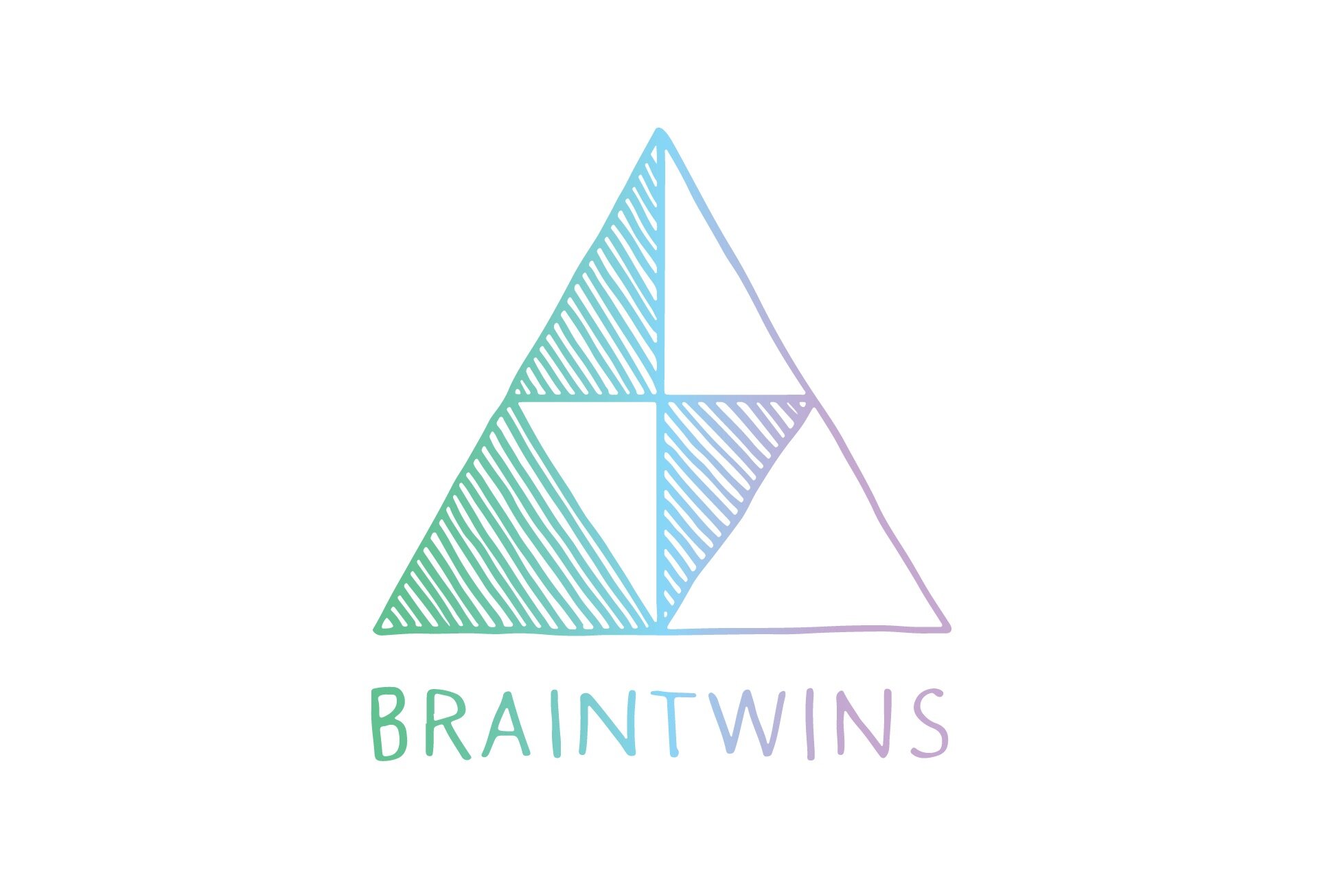 braintwinsLogo2016.jpg