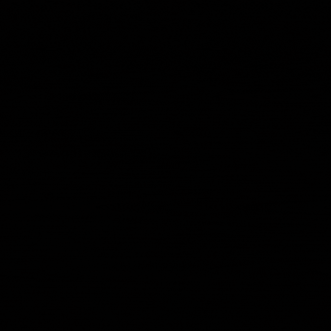 Week of November 18, 2024