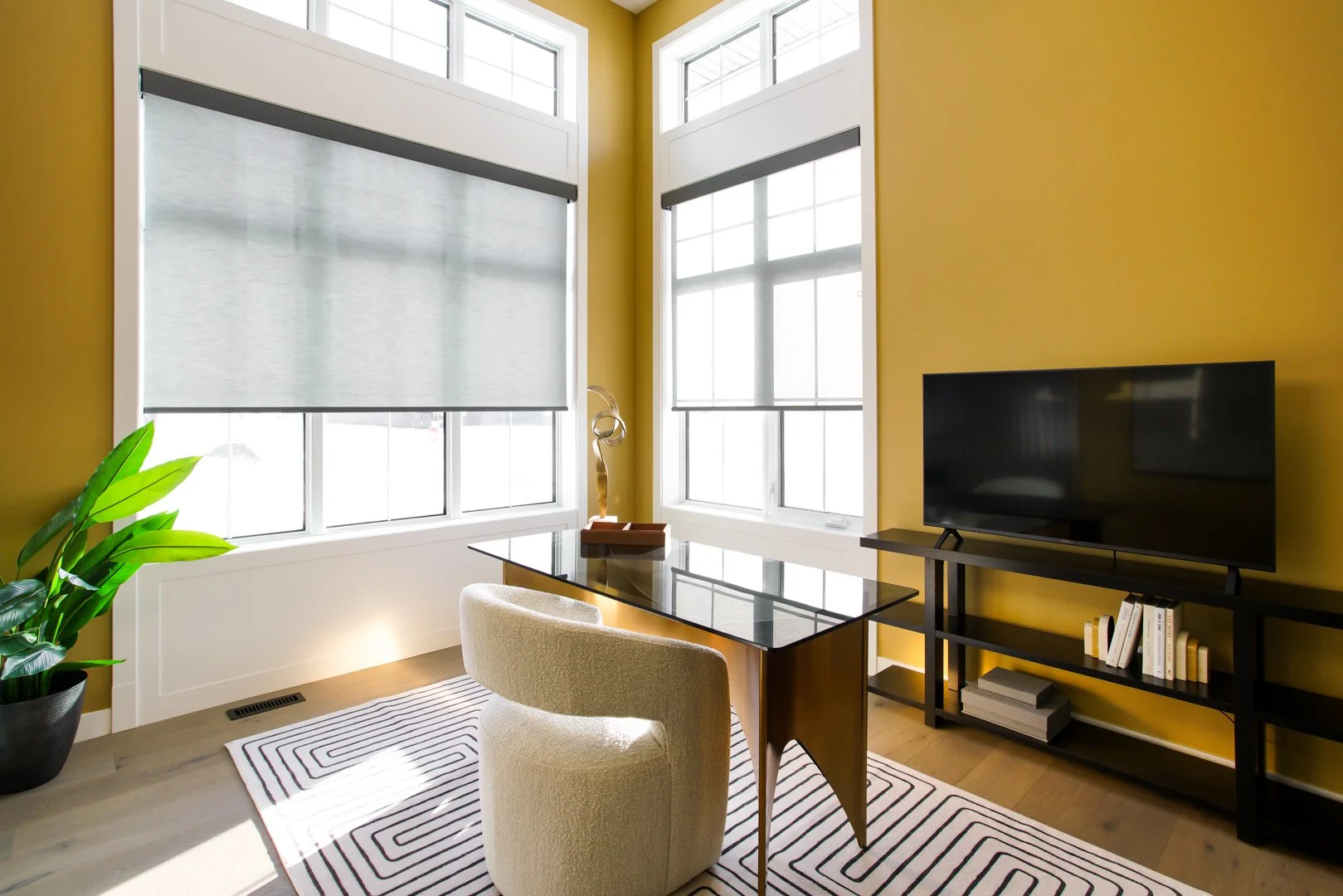 Regina S26 High Res-21.jpg