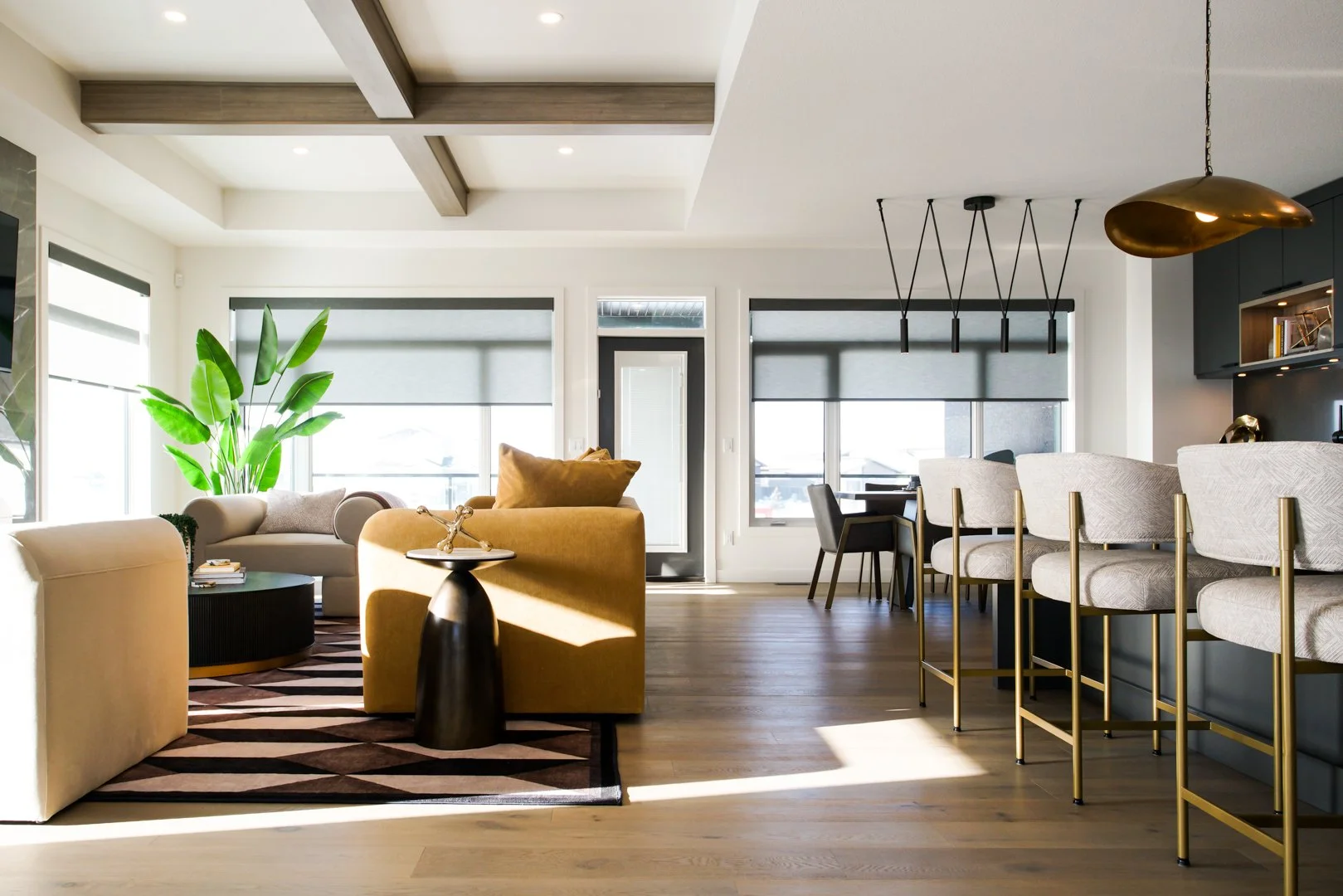 Regina S26 High Res-28.jpg