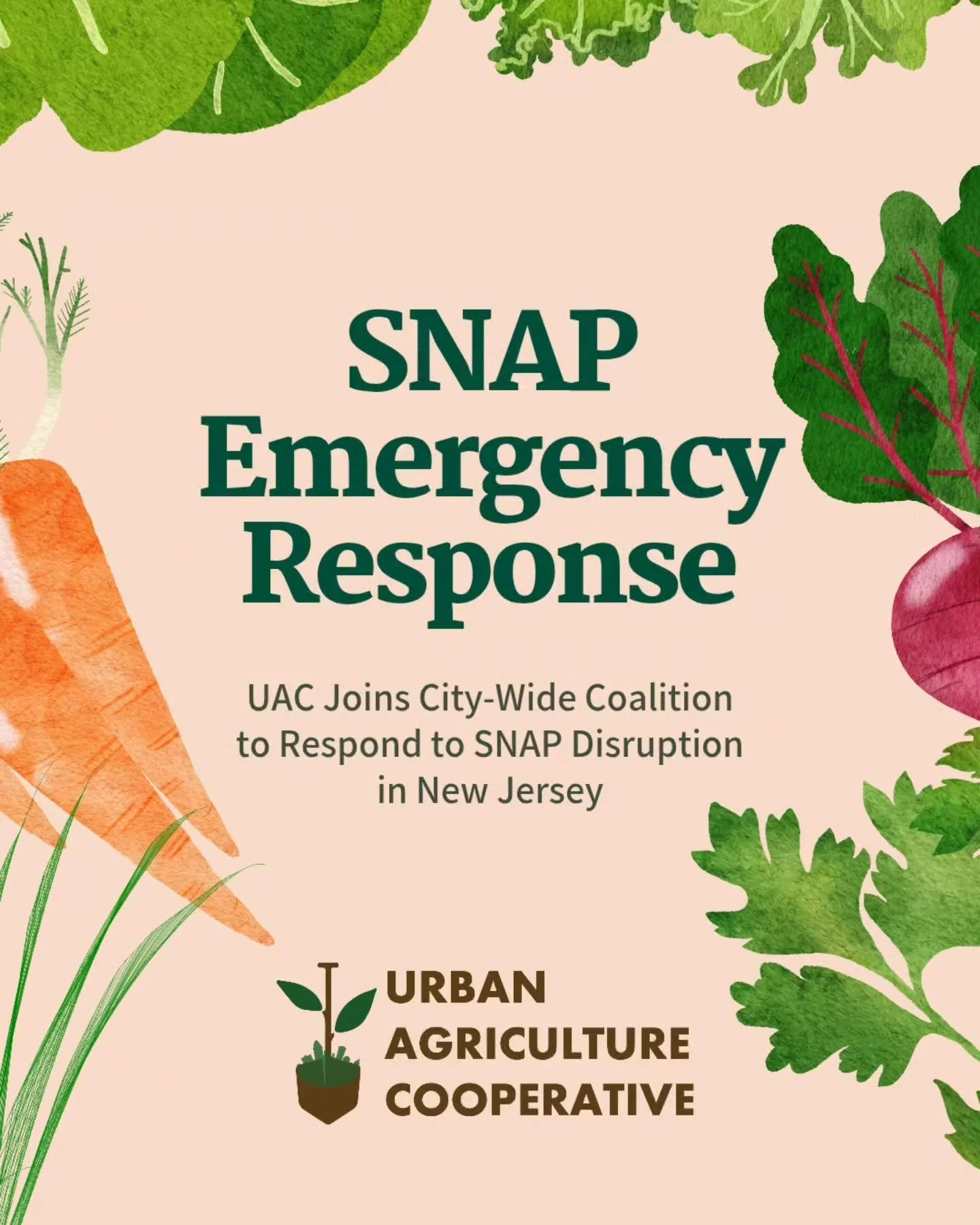 SNAP benefits are down. Families are feeling it. UAC is moving fresh produce from our farmers to schools, pantries, and community partners across Essex County. We&rsquo;re proud to be part of a city-wide coalition responding with urgency and care.

C