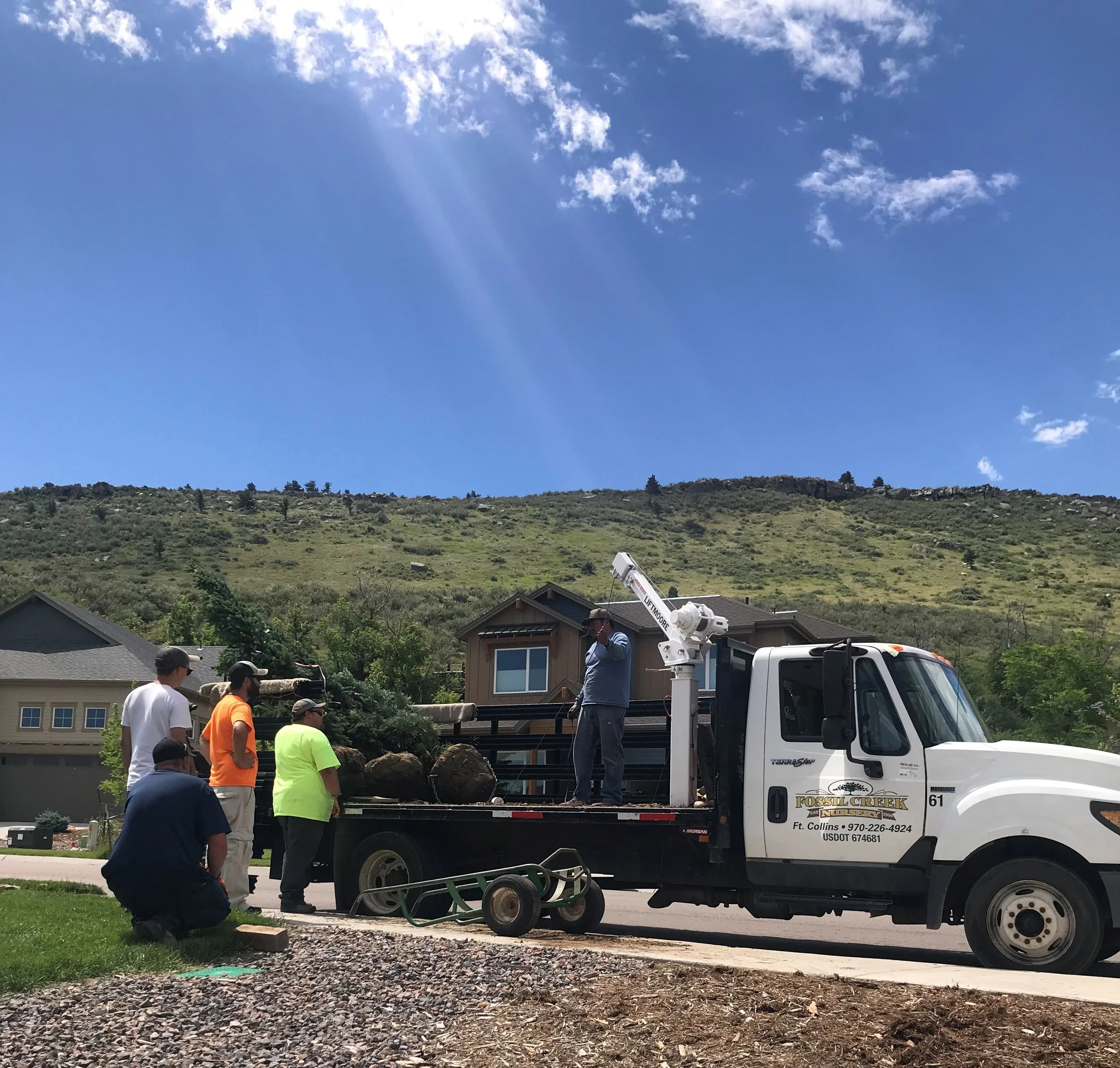 Big shout out to the amazing delivery crew at Fossil Creek Nursery for their assistance with these huge trees - we use Fossil Creek for their fantastic customer service and quality products!