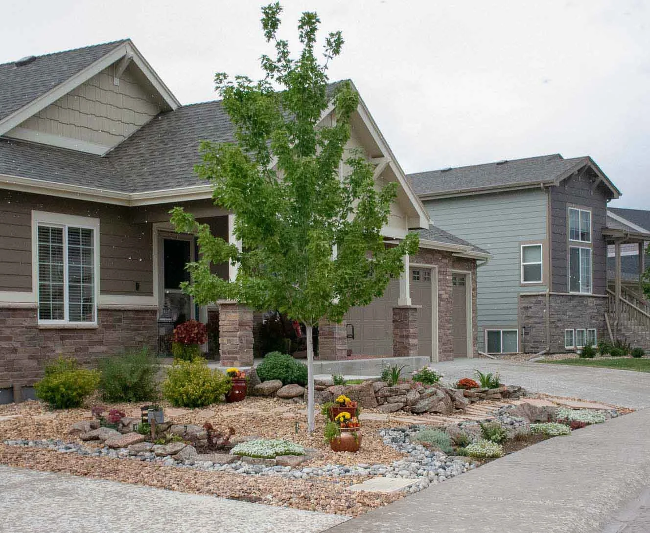 Front yard xeriscape that Tri City designed and completed in Loveland, CO 2019