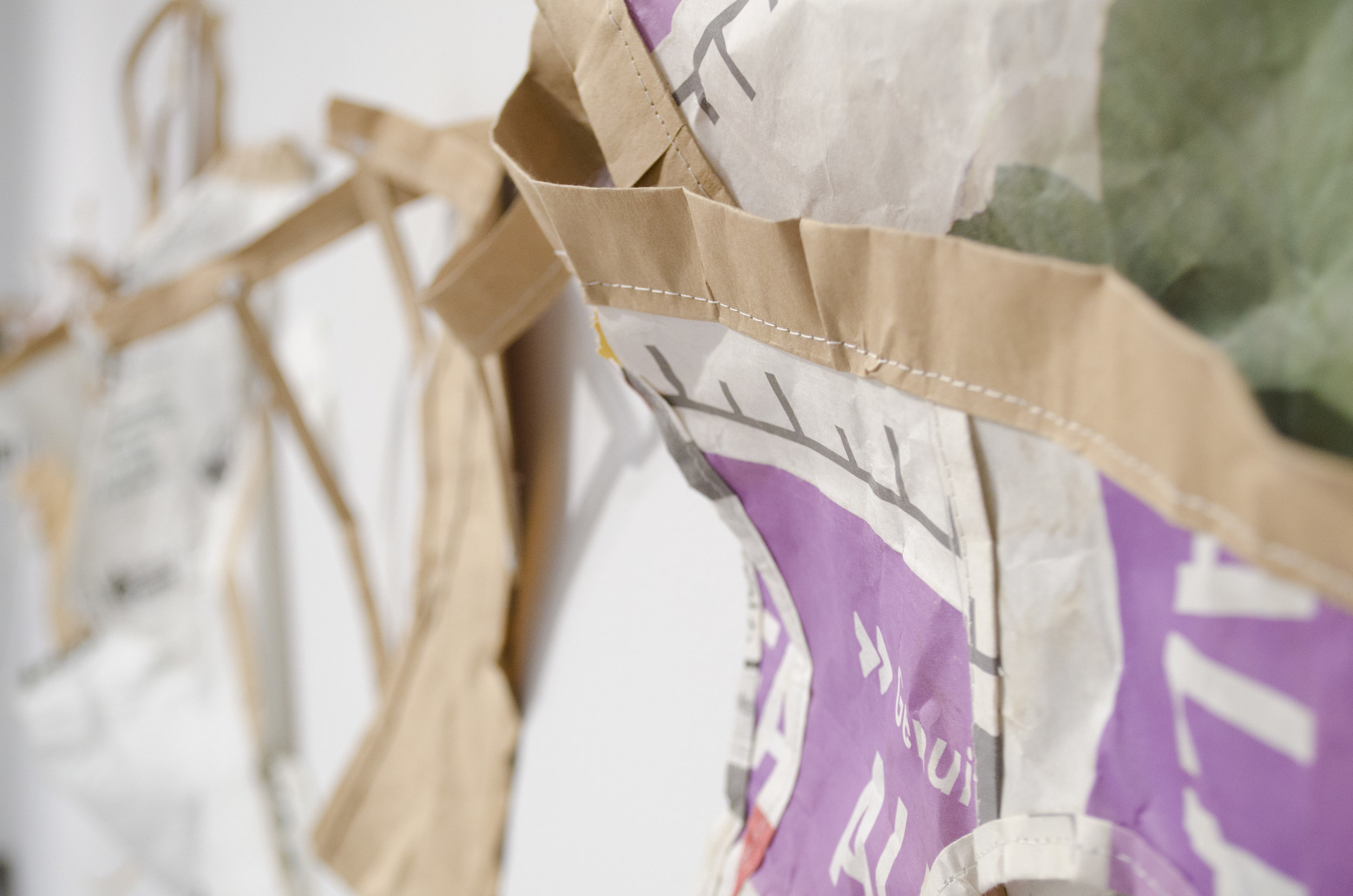  Detail Seed Bag, Thread, Looping Video Performance Dimensions Variable 2018 