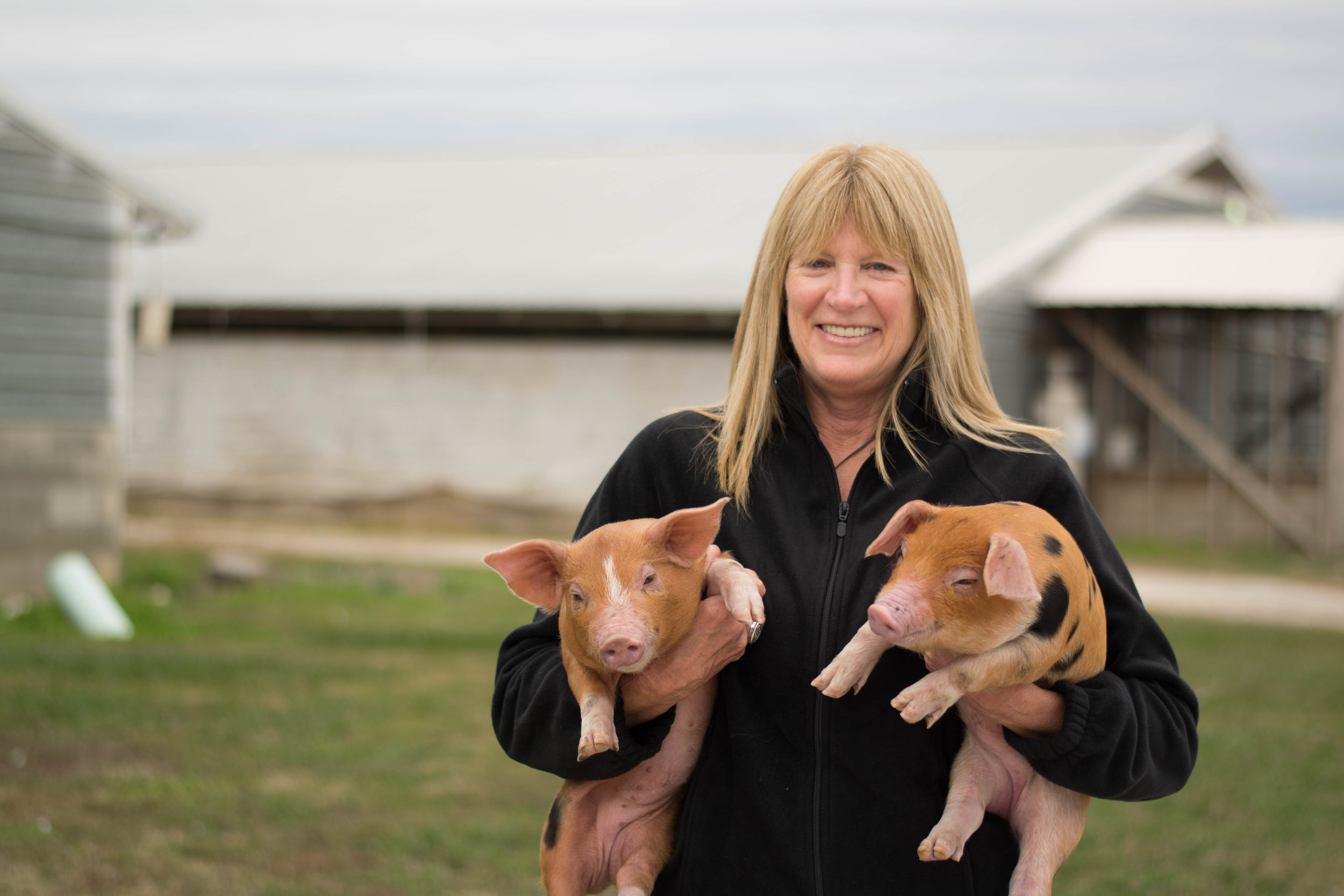 The Reality of Living Next to a Hog Farm — NC FARM FAMILIES
