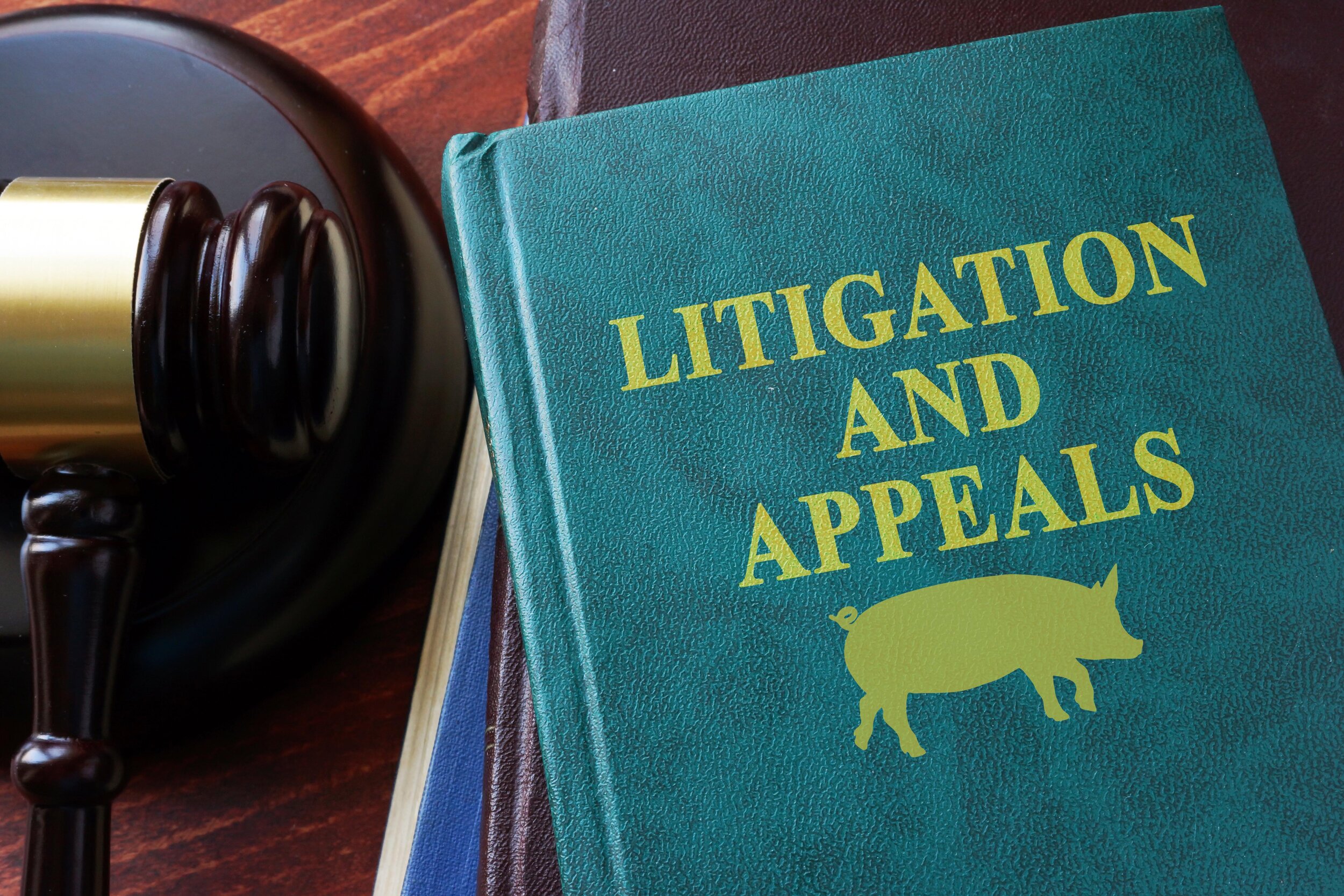 U.S. Court of Appeals to consider hog farm lawsuit in January