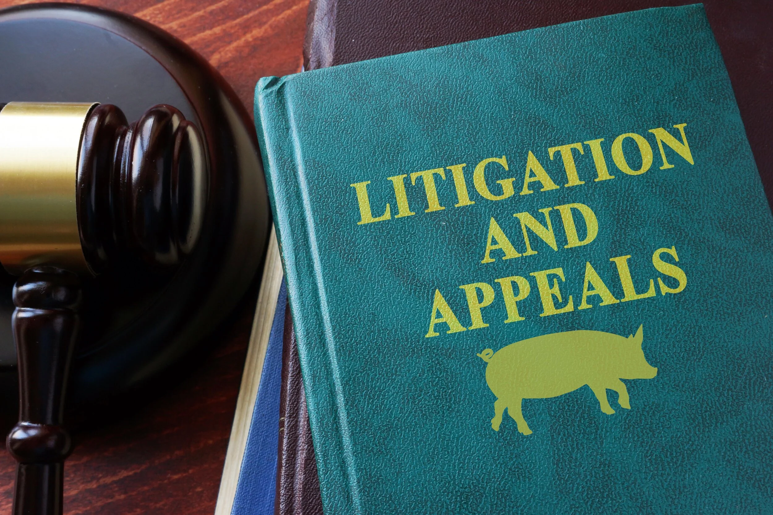 Preview of Fourth Circuit Court of Appeals