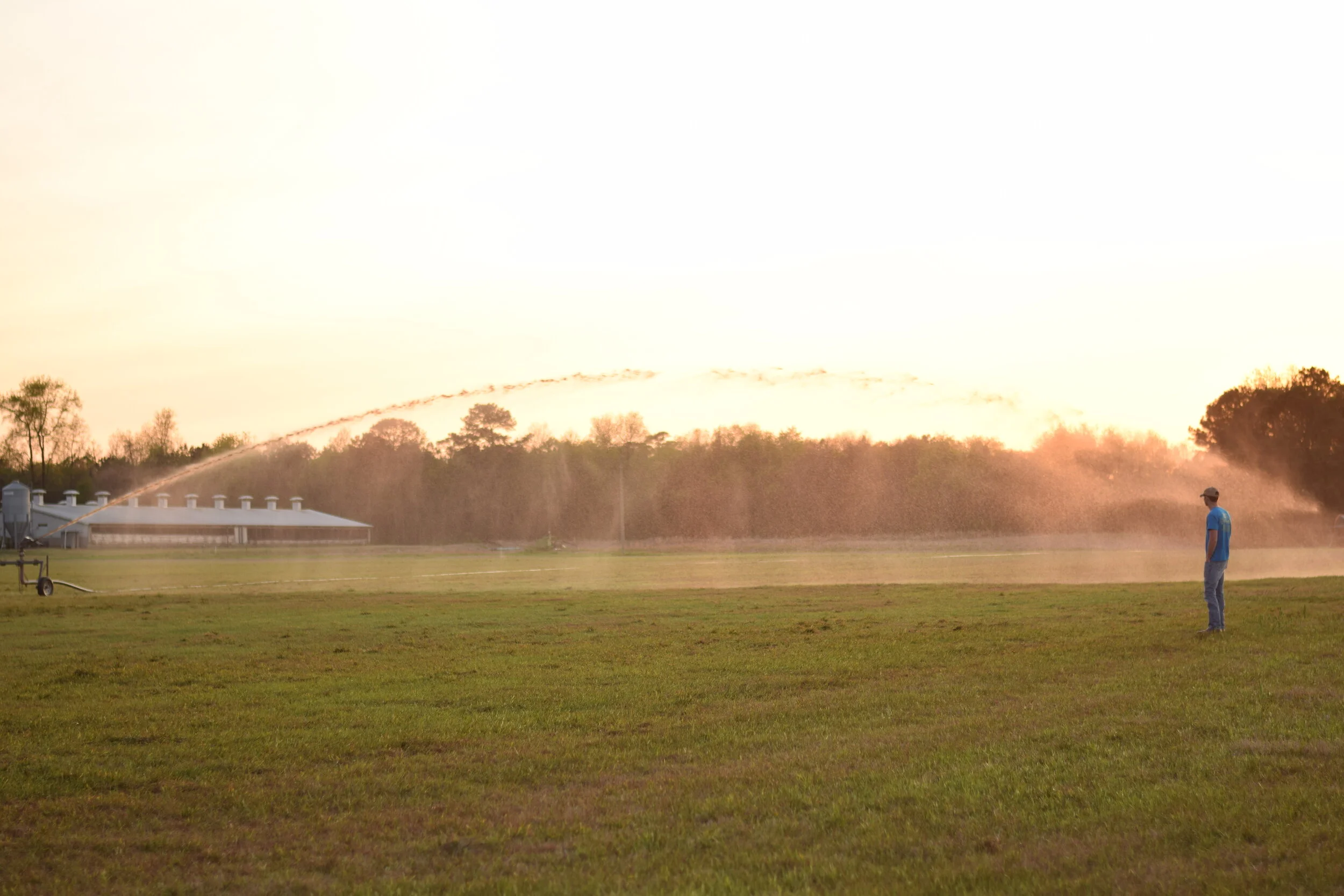 Never Enough--Activist Never Satisfied with Hog Farmer Efforts