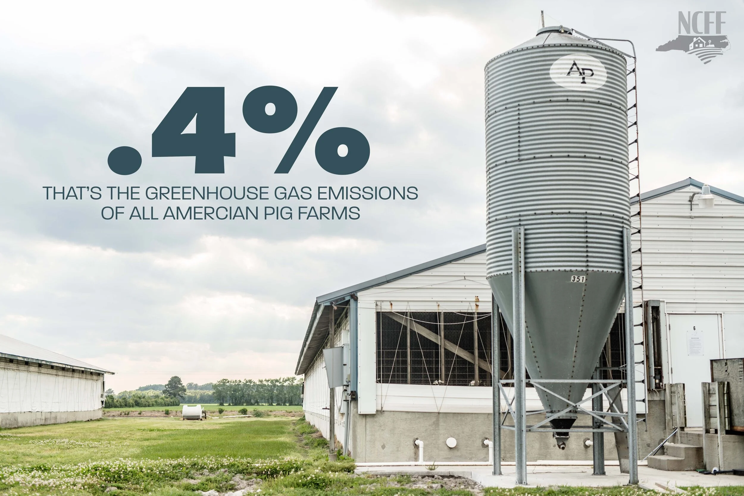 Pig farmers reduce environmental impact | Activists push back