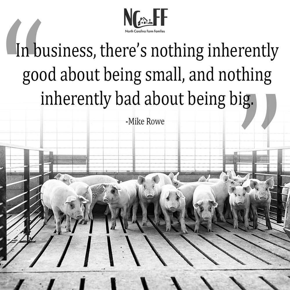 Farm thoughts:
▪️Farming is a business. That doesn't make it less credible or good. It is a necessary aspect for sustainability.
▪️Size of farm does not matter.
▪️There's no one right way to farm
▪️ Food choice is a wonderful thing, so let's let cons