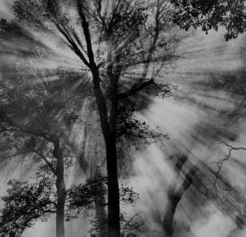 Kolbrener%2C+Controlled+Burn+%26+Dodge+%231%2C+gelatin+silver+on+fiber+based++paper%2C+16x20%2C+2007%2C+%245000.jpg