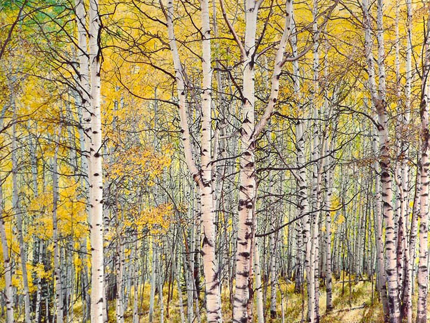 MFI Art Company Inc. corporate fine art consulting artwork 10