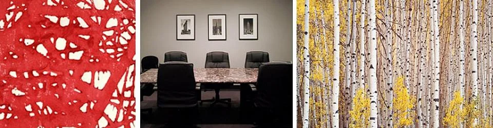 MFI Art Company Inc. corporate fine art consulting artwork 65