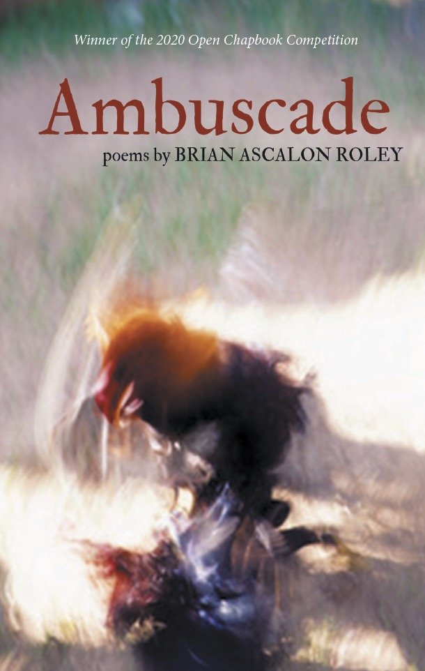 ascalon cover copy2 copy.jpg