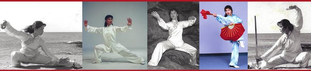 Aiping website header collage.jpeg