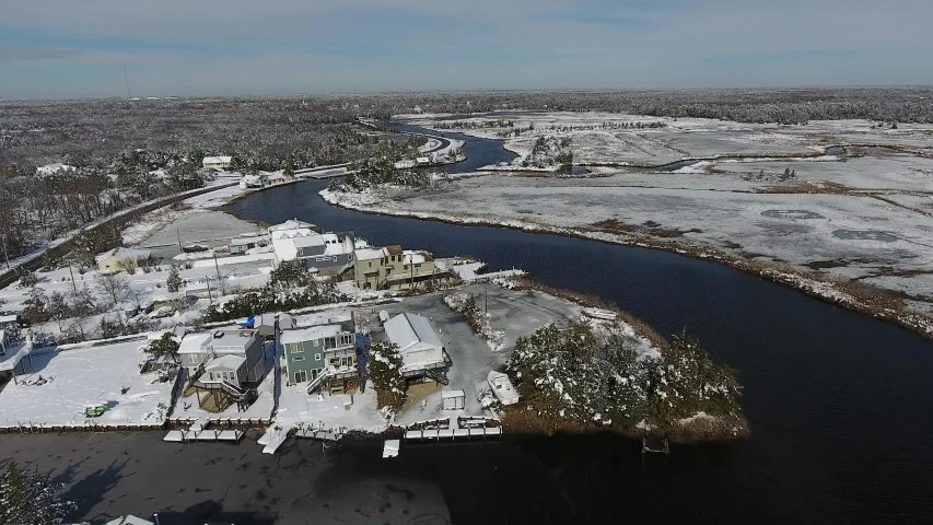 Are You Kidding Me?!?