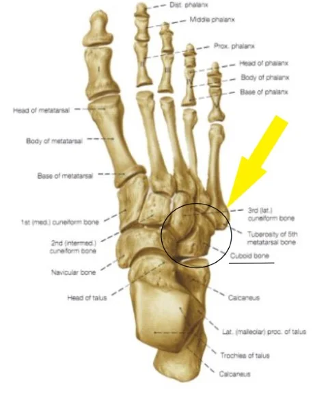 TIBS Is Off The Trail - An Update