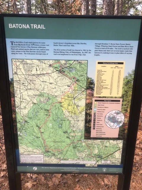 Batona, Botanicals and a Beaver