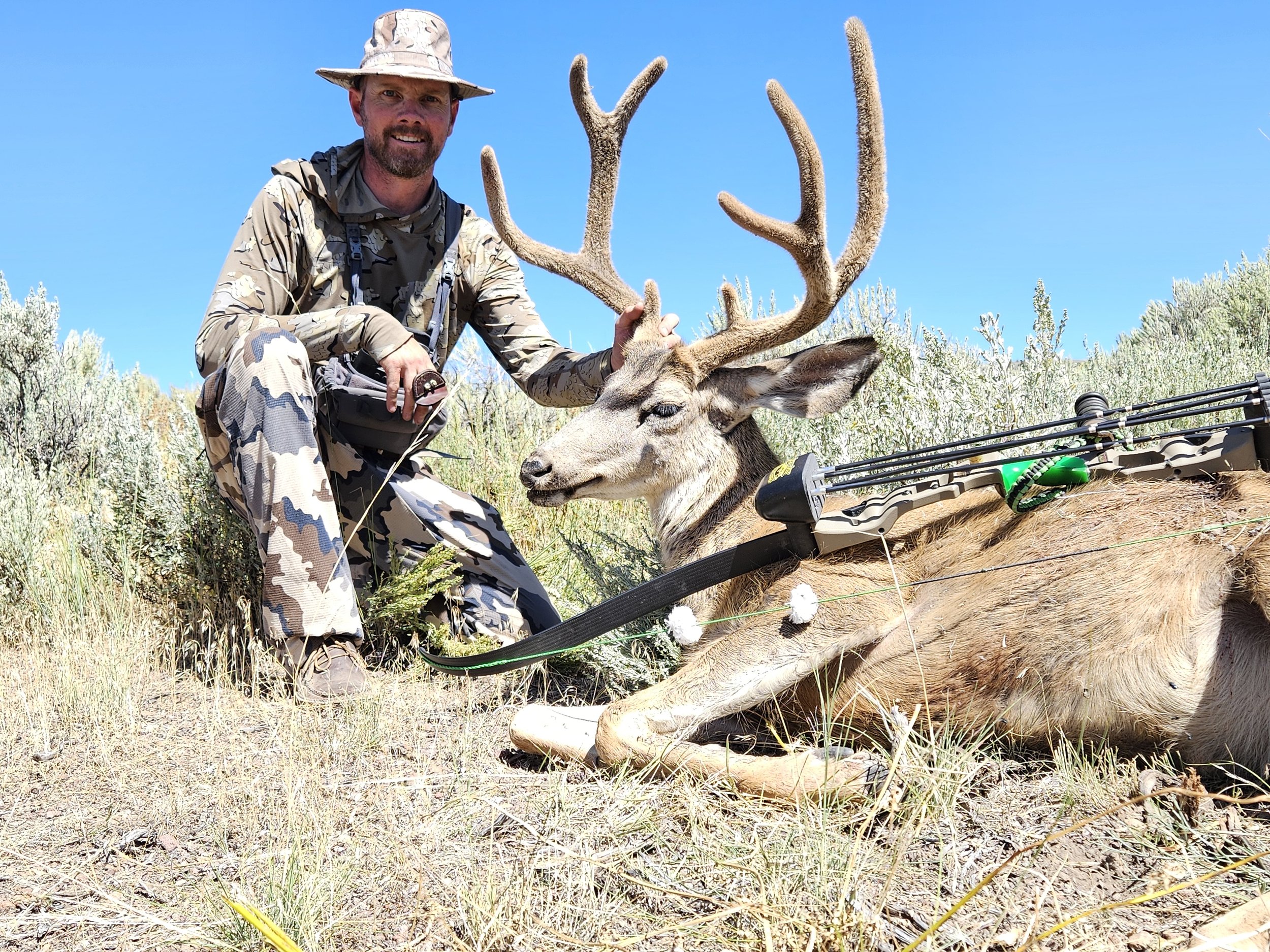 2023 Deer.jpg
