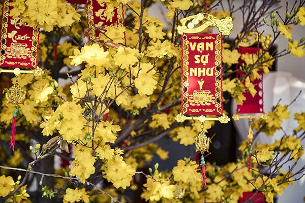 The Anam Celebrates Tet With Family Time, Food and Traditions