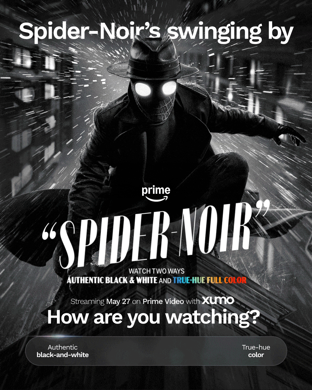 spider.gif