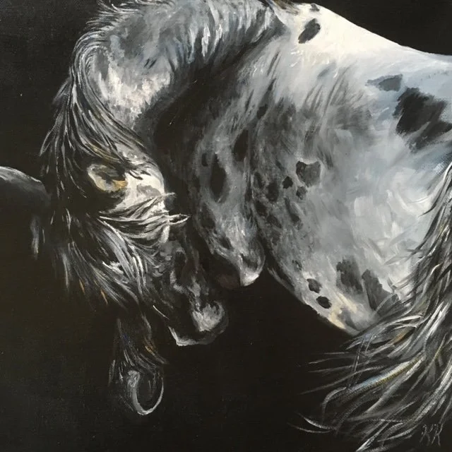 3D8E1BF5-97BE-4FEC-9030-9F530F0E271E (1).JPG