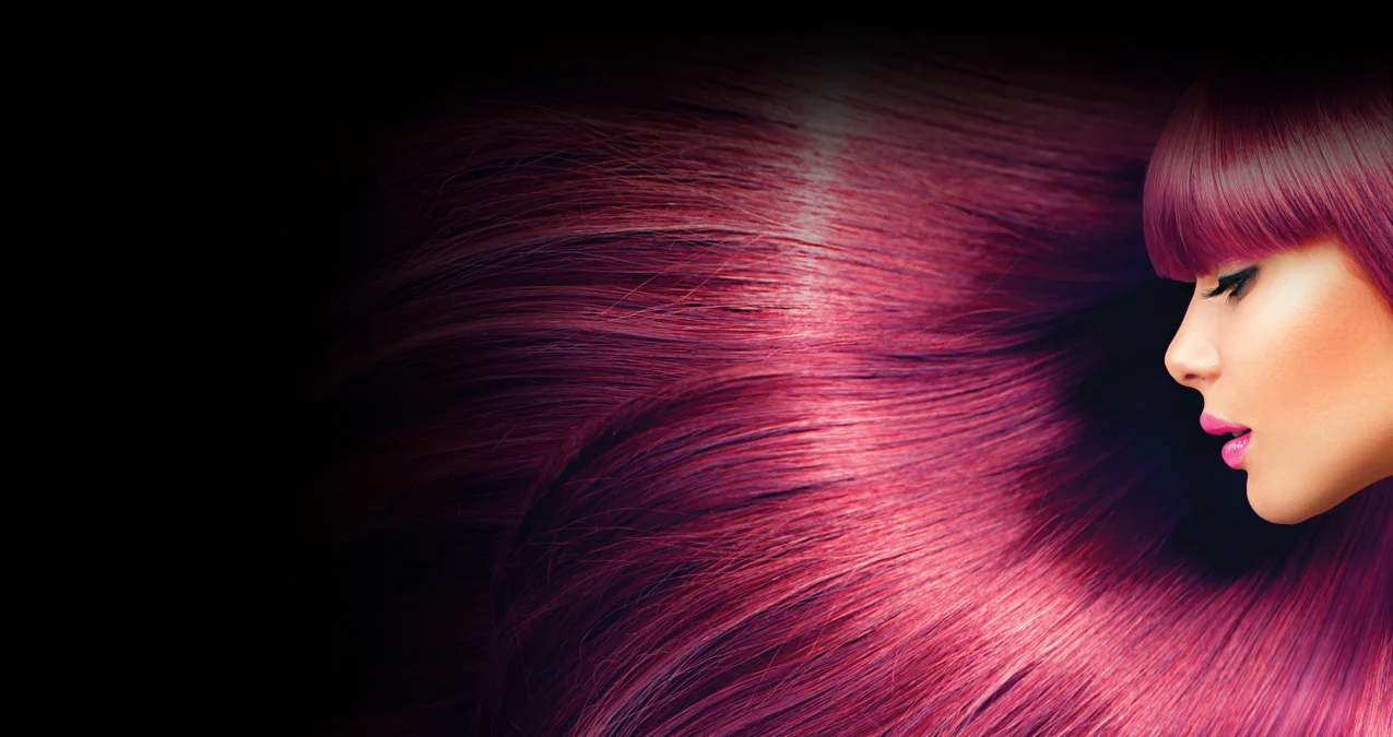 WEbsite Header.jpg