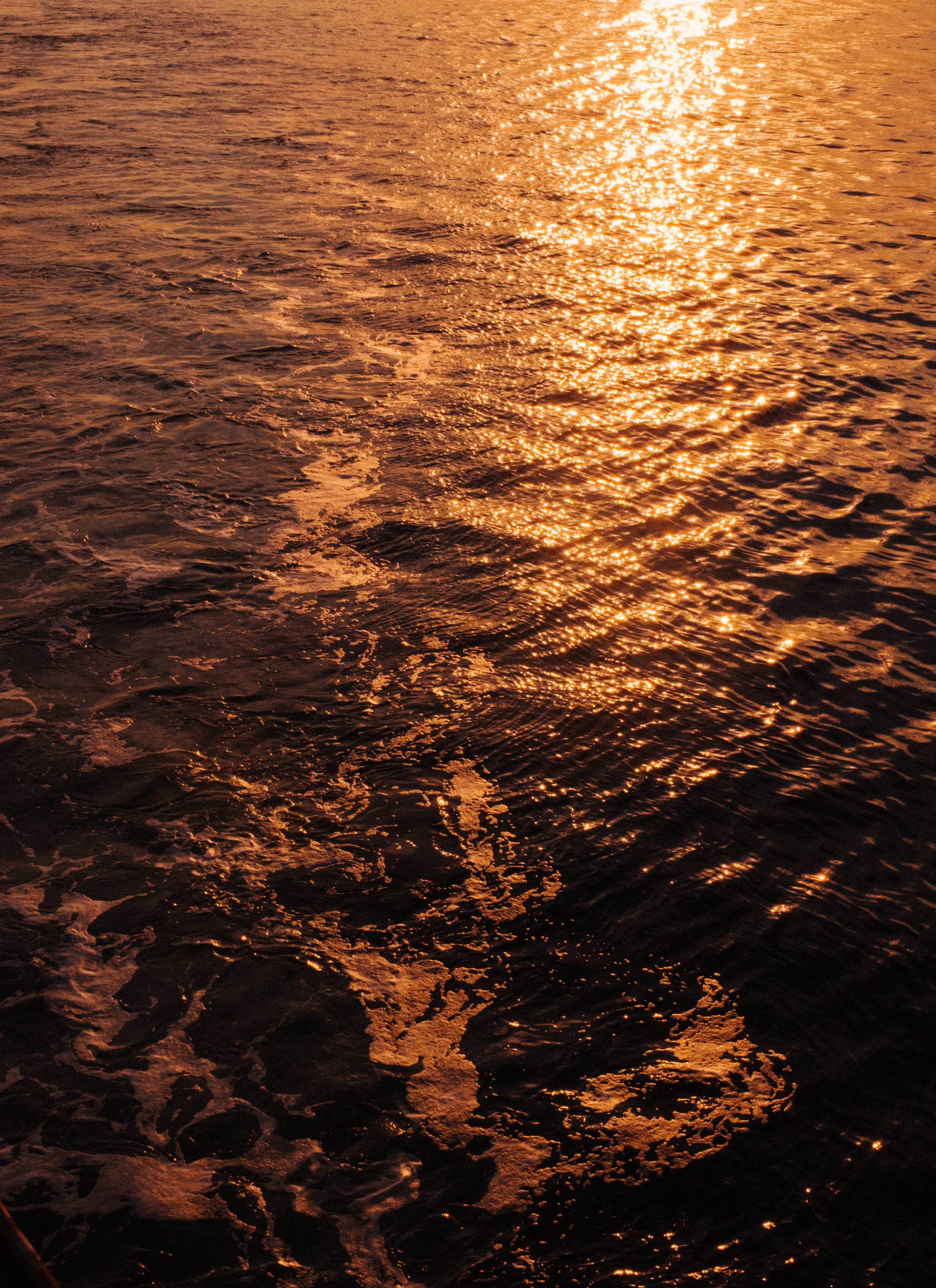 DSCF6769.jpg