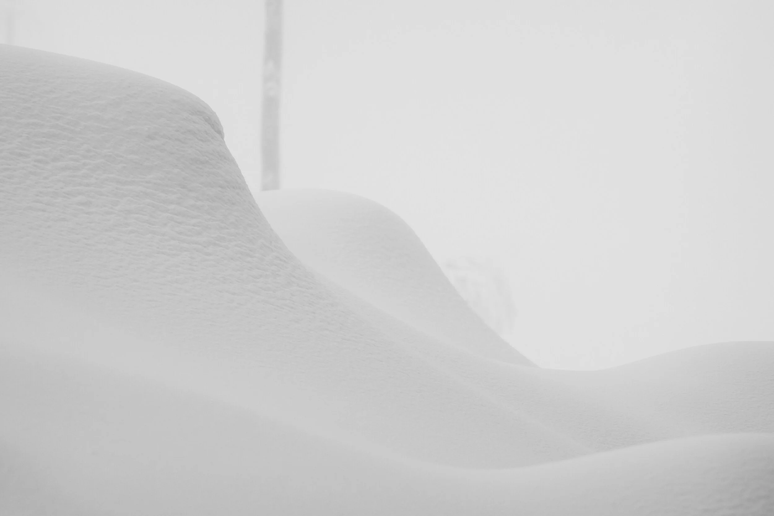 Favourites - 1 of 1.jpeg