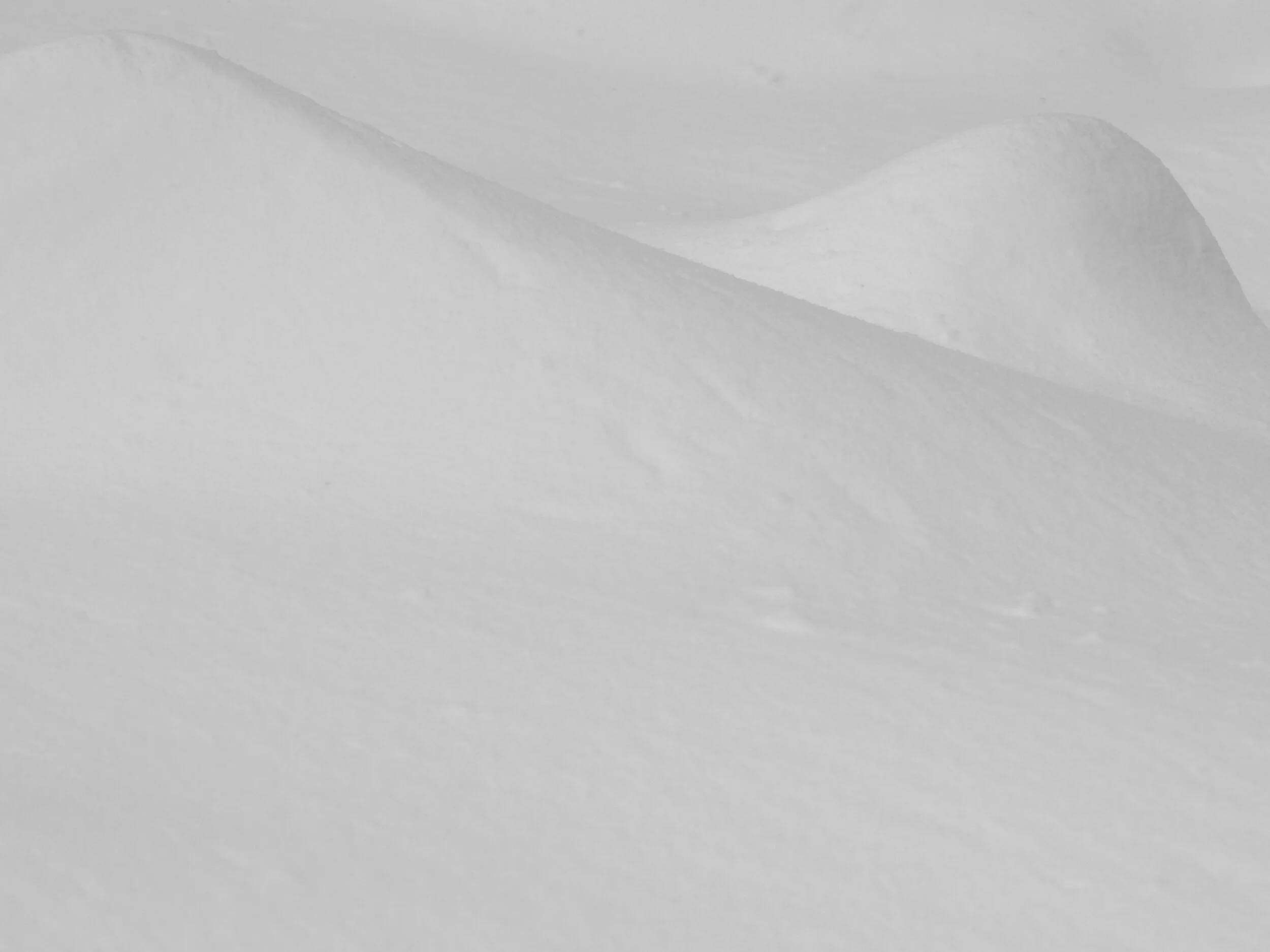 Imports - 1 of 1.jpeg