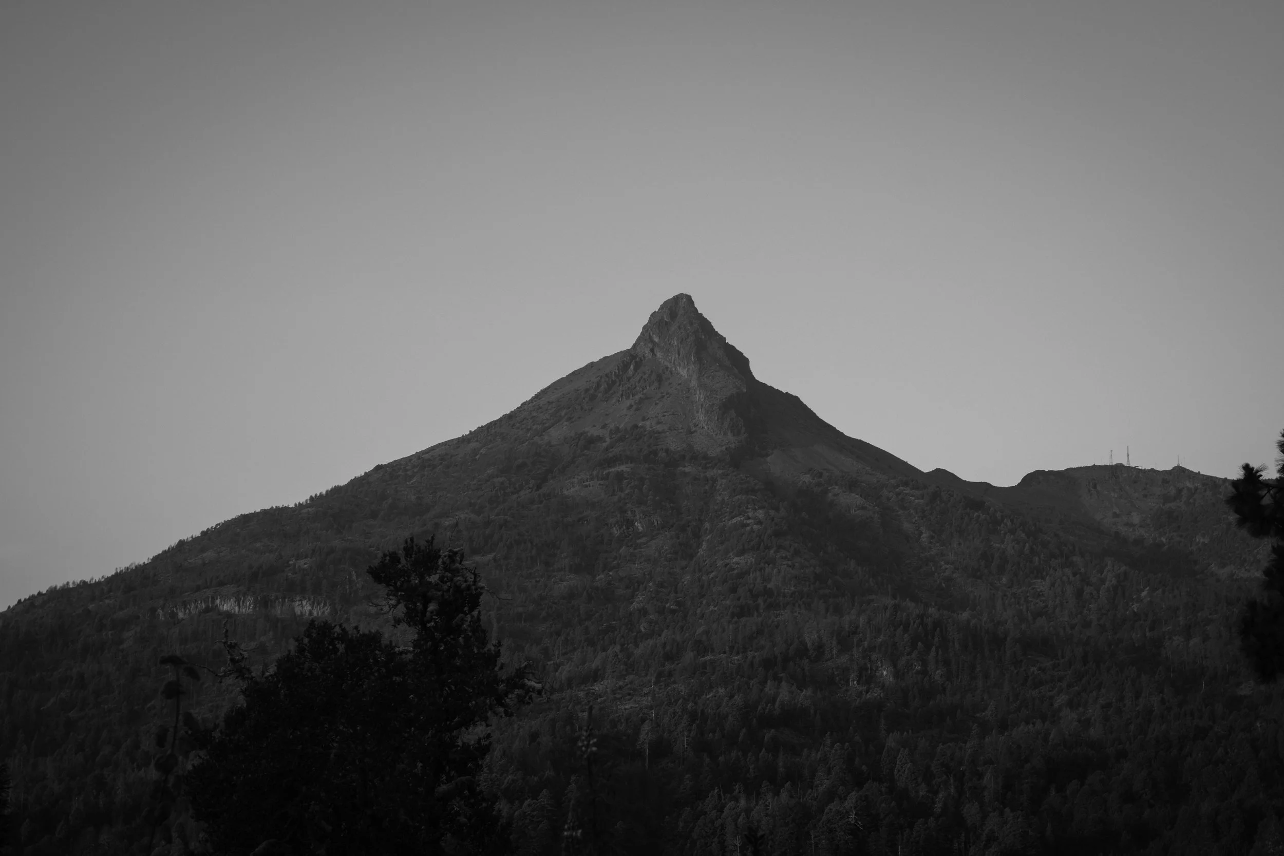 DSCF1550.jpg