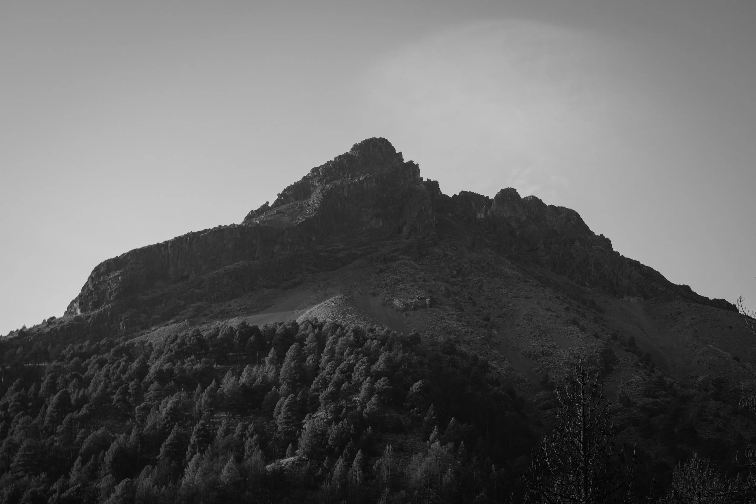 DSCF1553.jpg