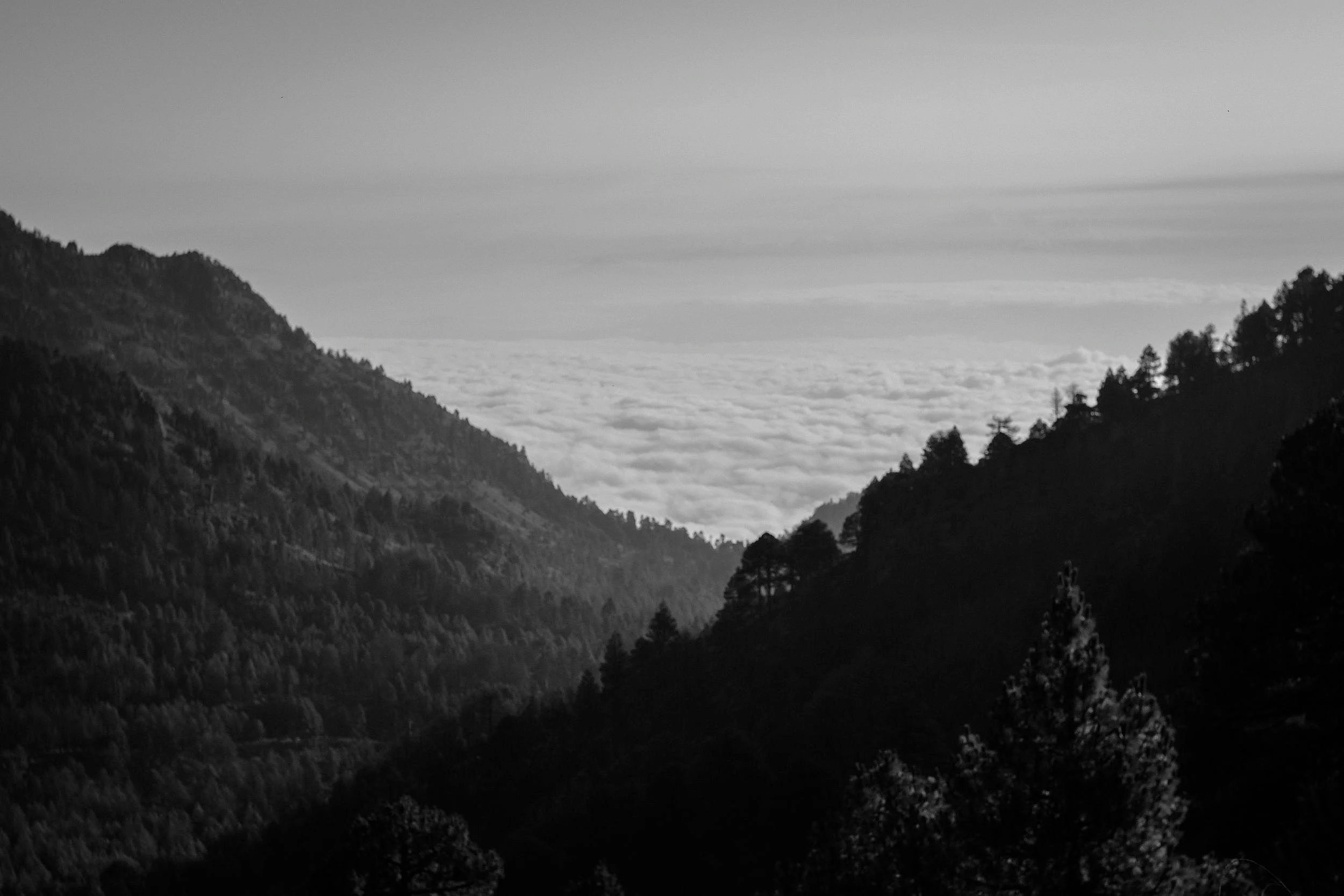 DSCF1575.jpg
