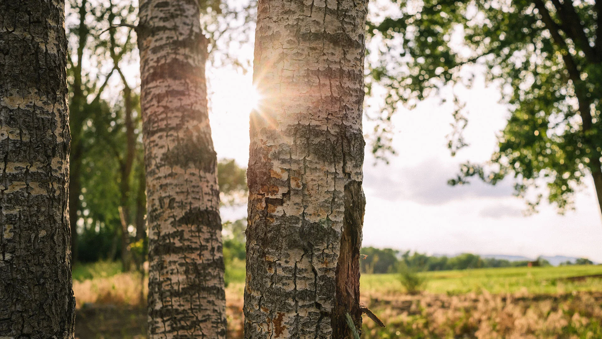 colorado-winery-sweet-heart-winery-event-center