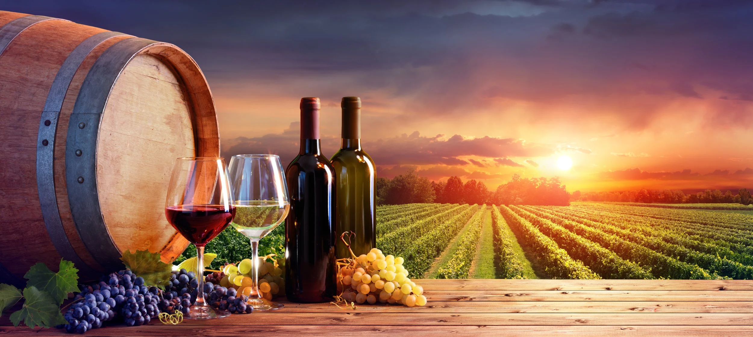 vineyard.jpeg