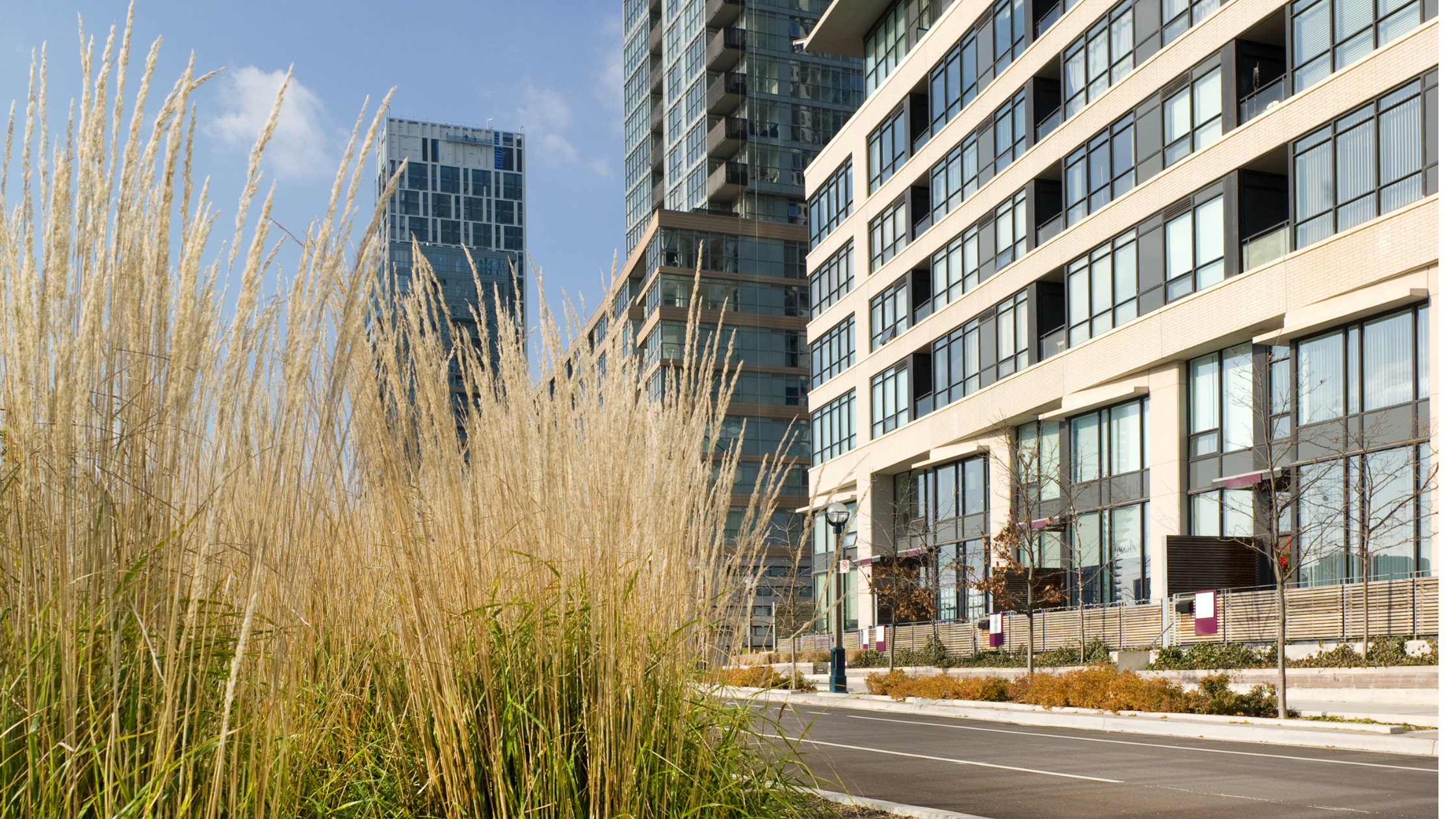 Why Toronto Condo Prices Are Back to 2019 Levels—and Why That Matters