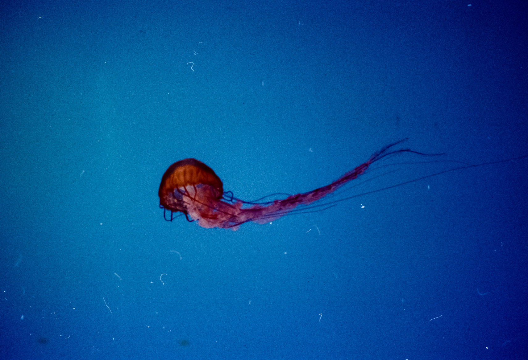 SITE scan-170316-0043-20.jpg