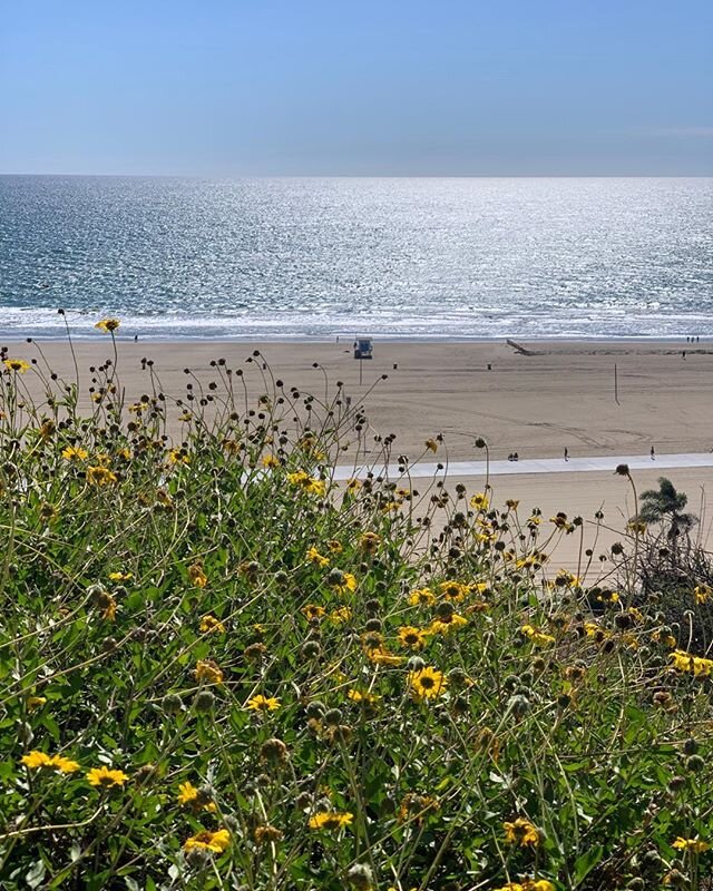 I had the most glorious soul charging g walk in Santa Monica today! It&rsquo;s important to feed your soul...
.
.
.
.
.
.
.#santamonica #socialdistancing #lifeasitis #california #lifeinsocal #nocoronavirus #ugh!!!!!!!!