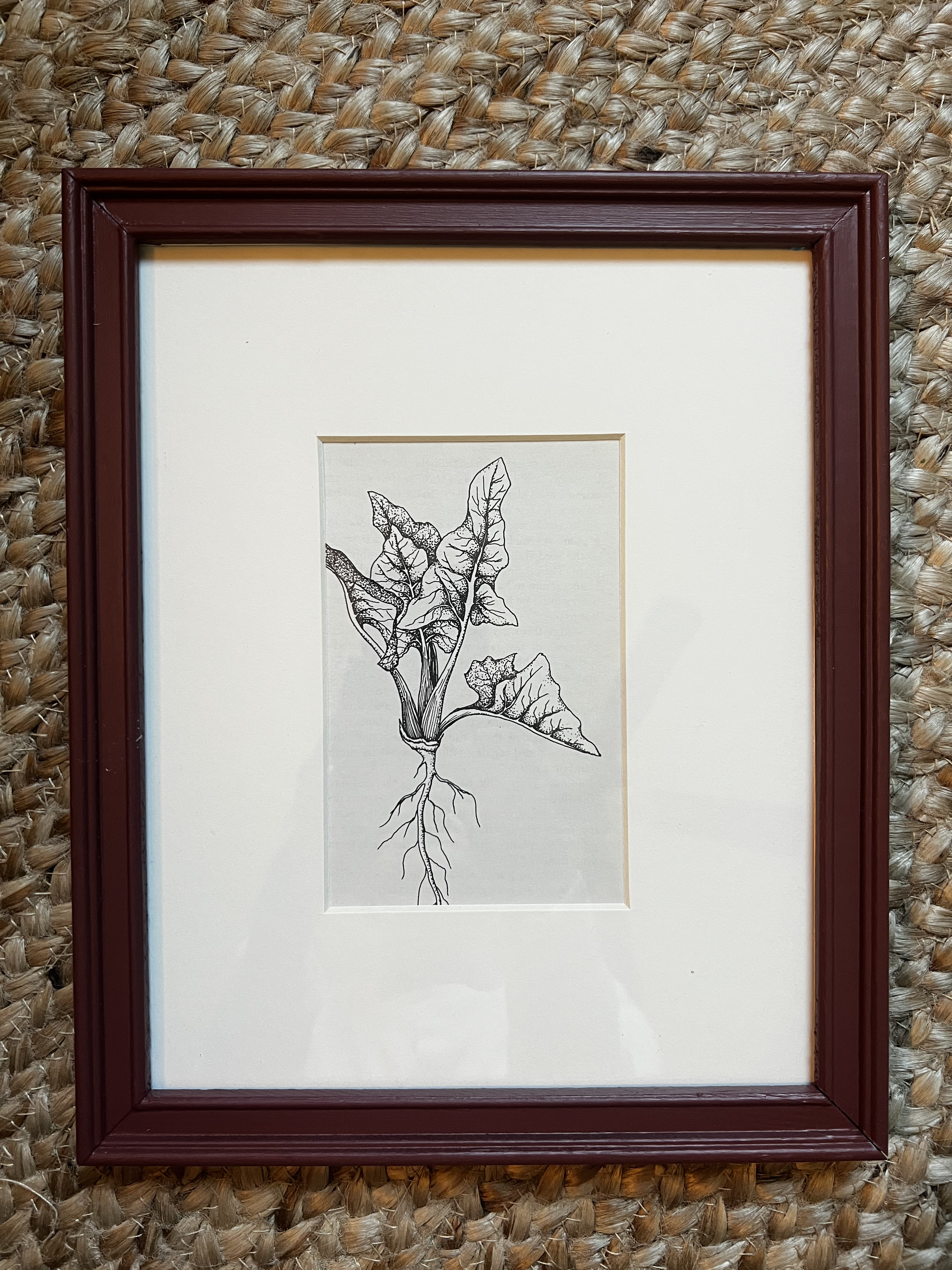 Romaine Vintage Print with Hand-Painted Frame