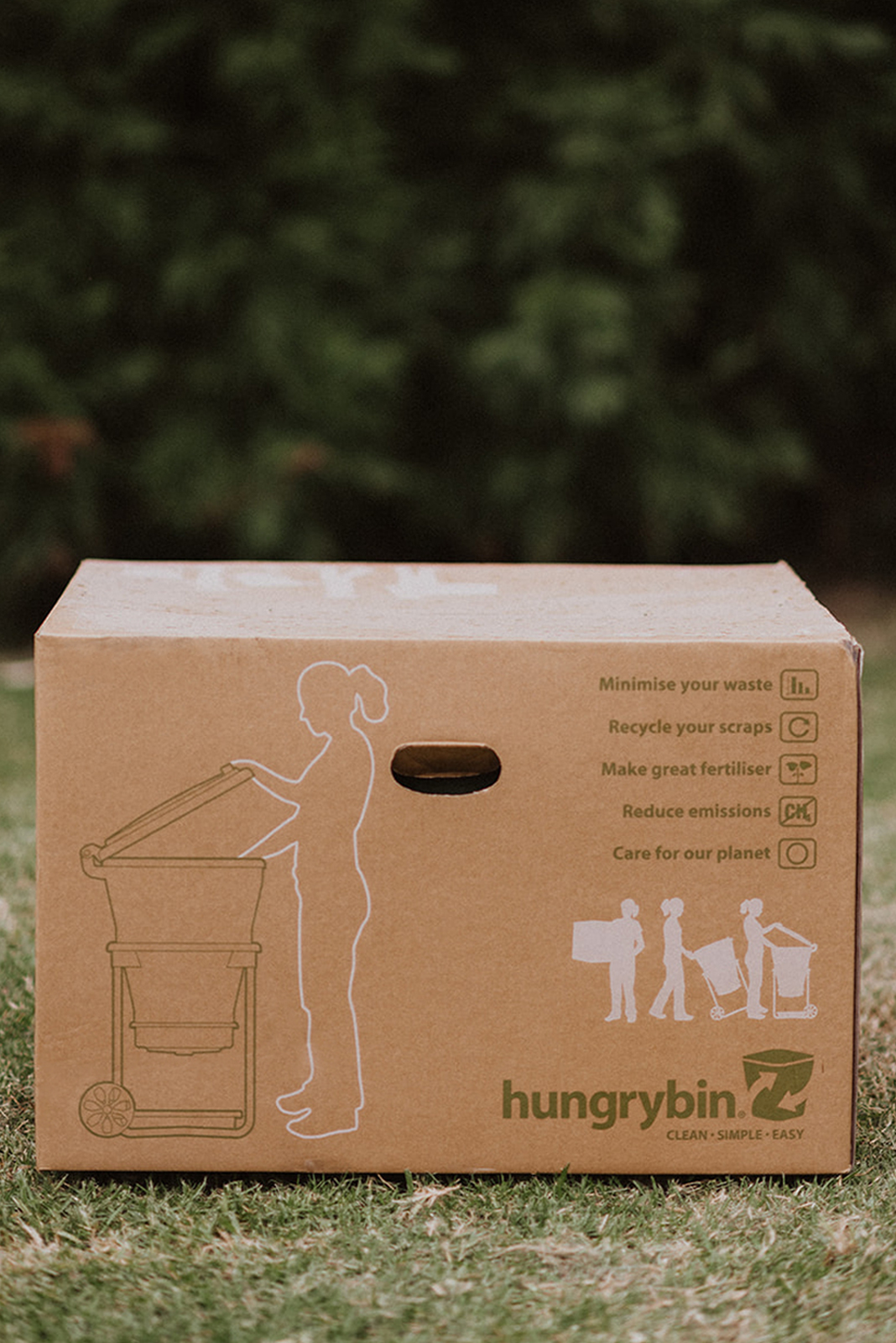 worm farm in box.jpg