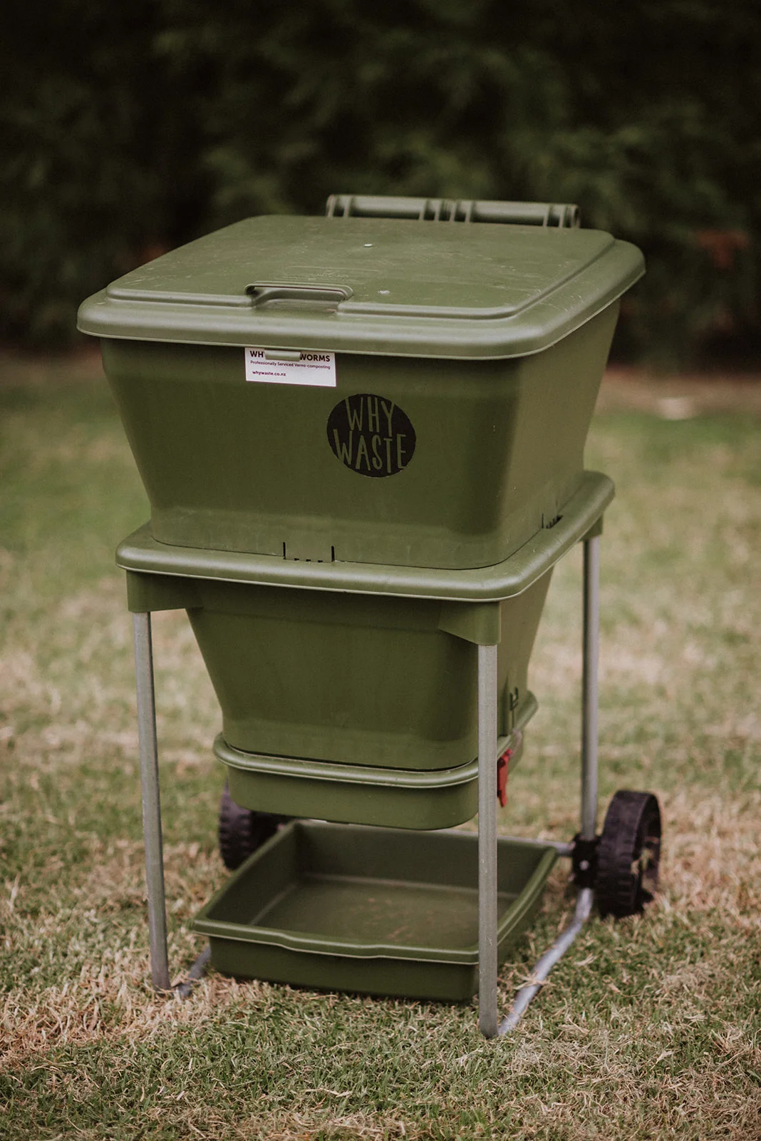 worm farm fully functioning.jpg