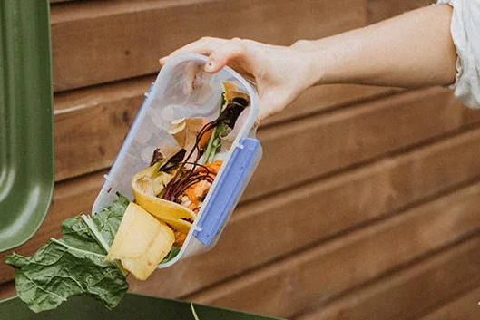 food_waste_solution.jpg