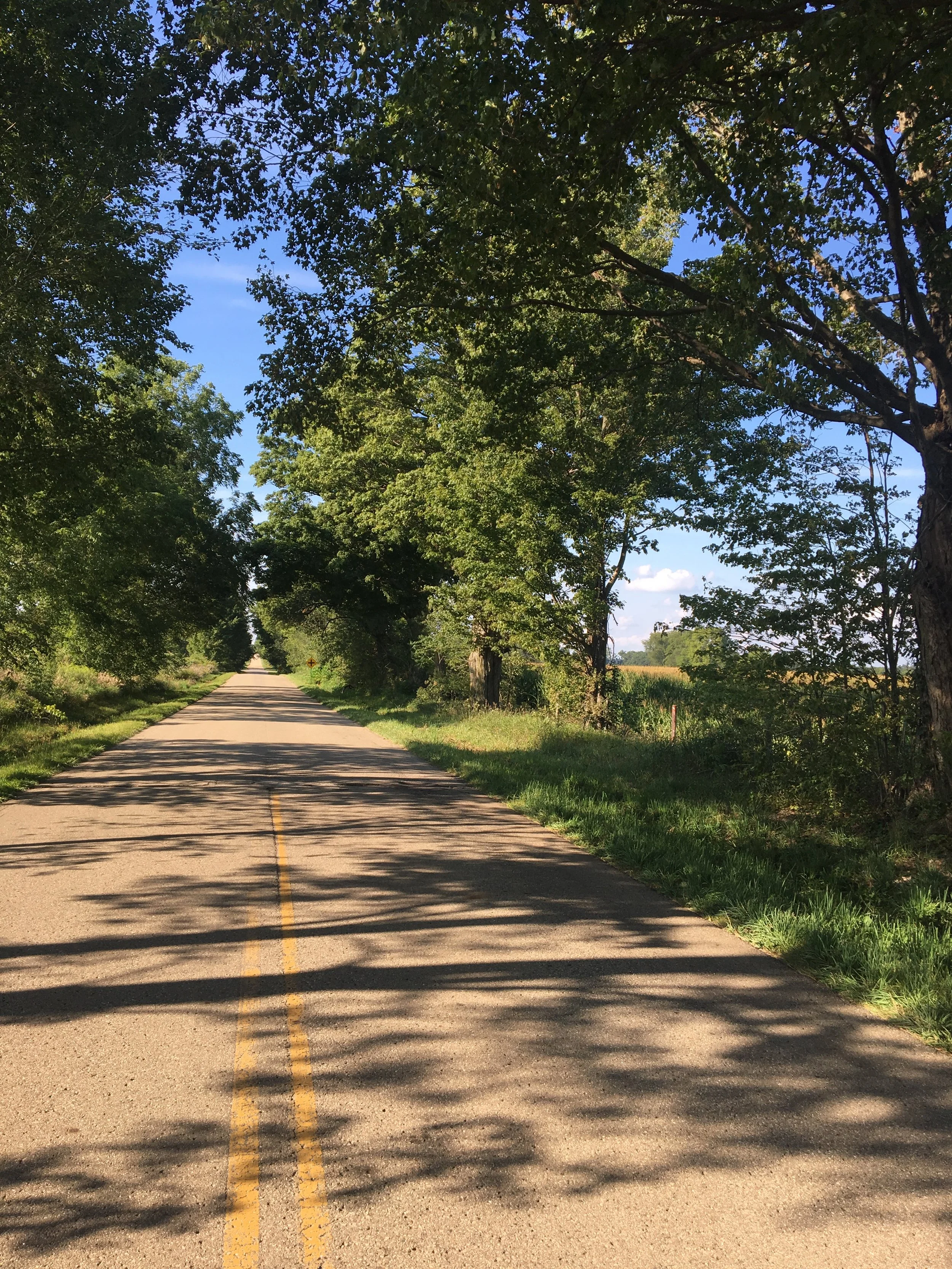 A bump in the road