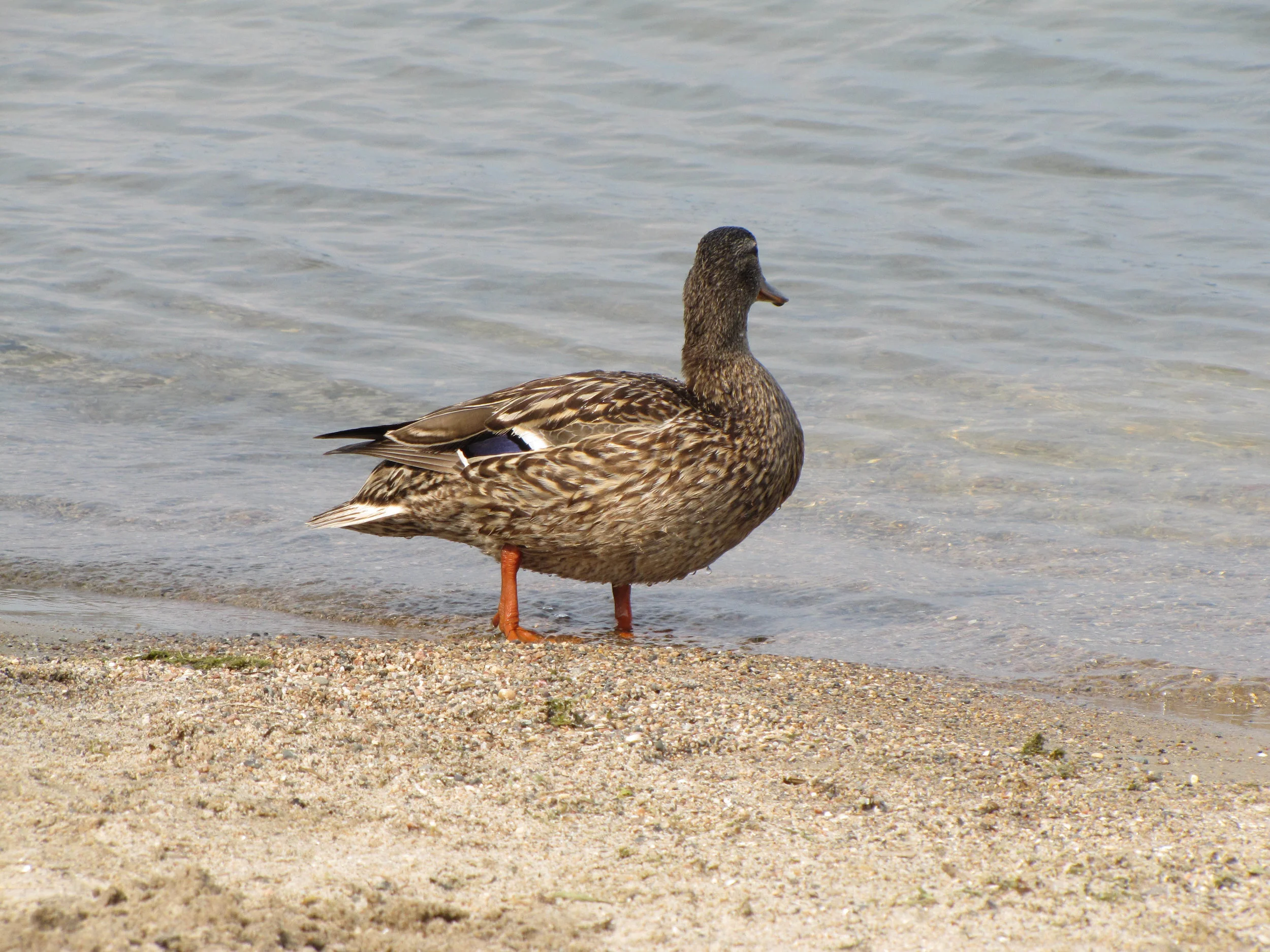 Sittin' around doin' nothin'