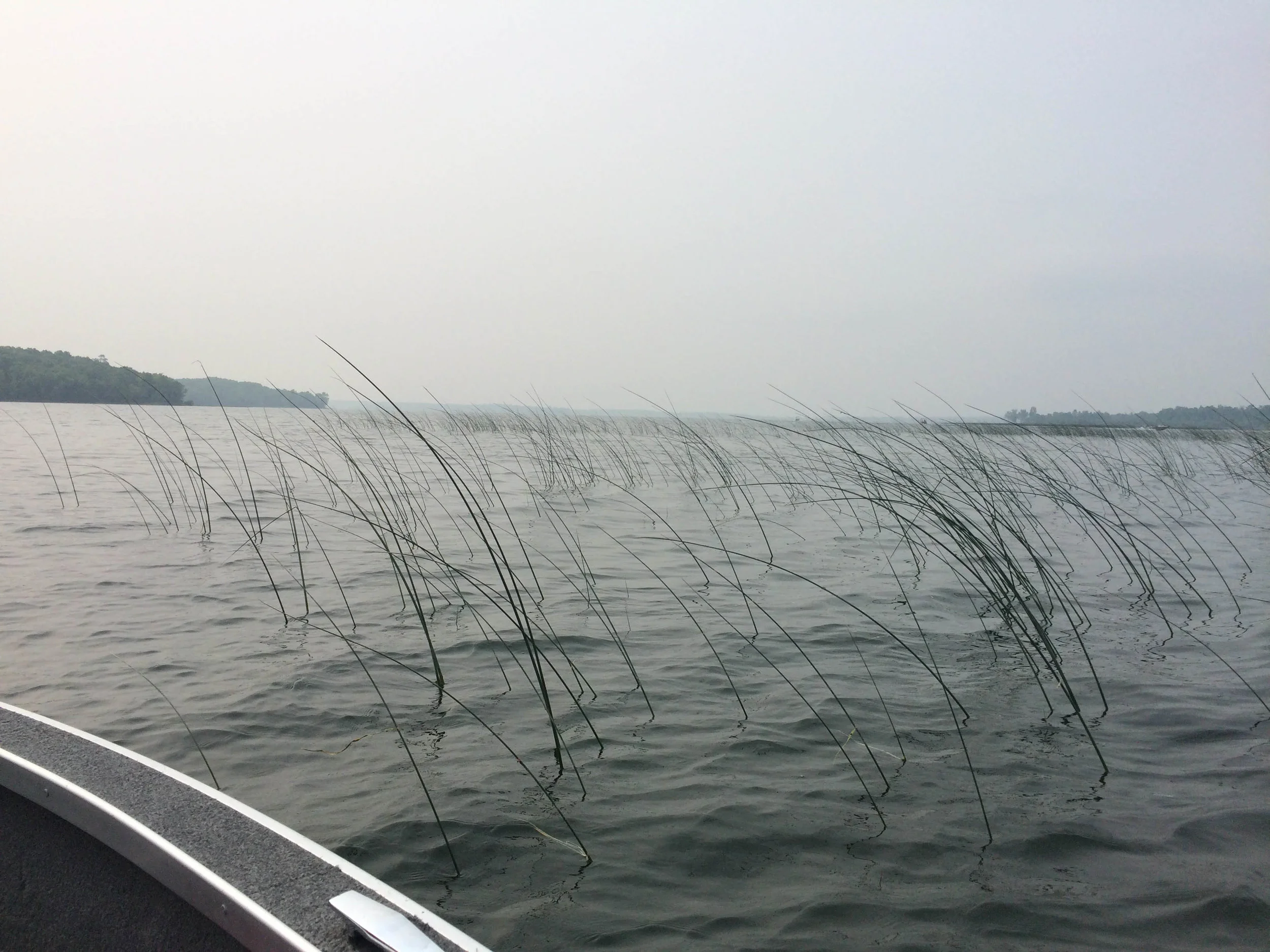 Lazy, Hazy (very hazy)...days of summer