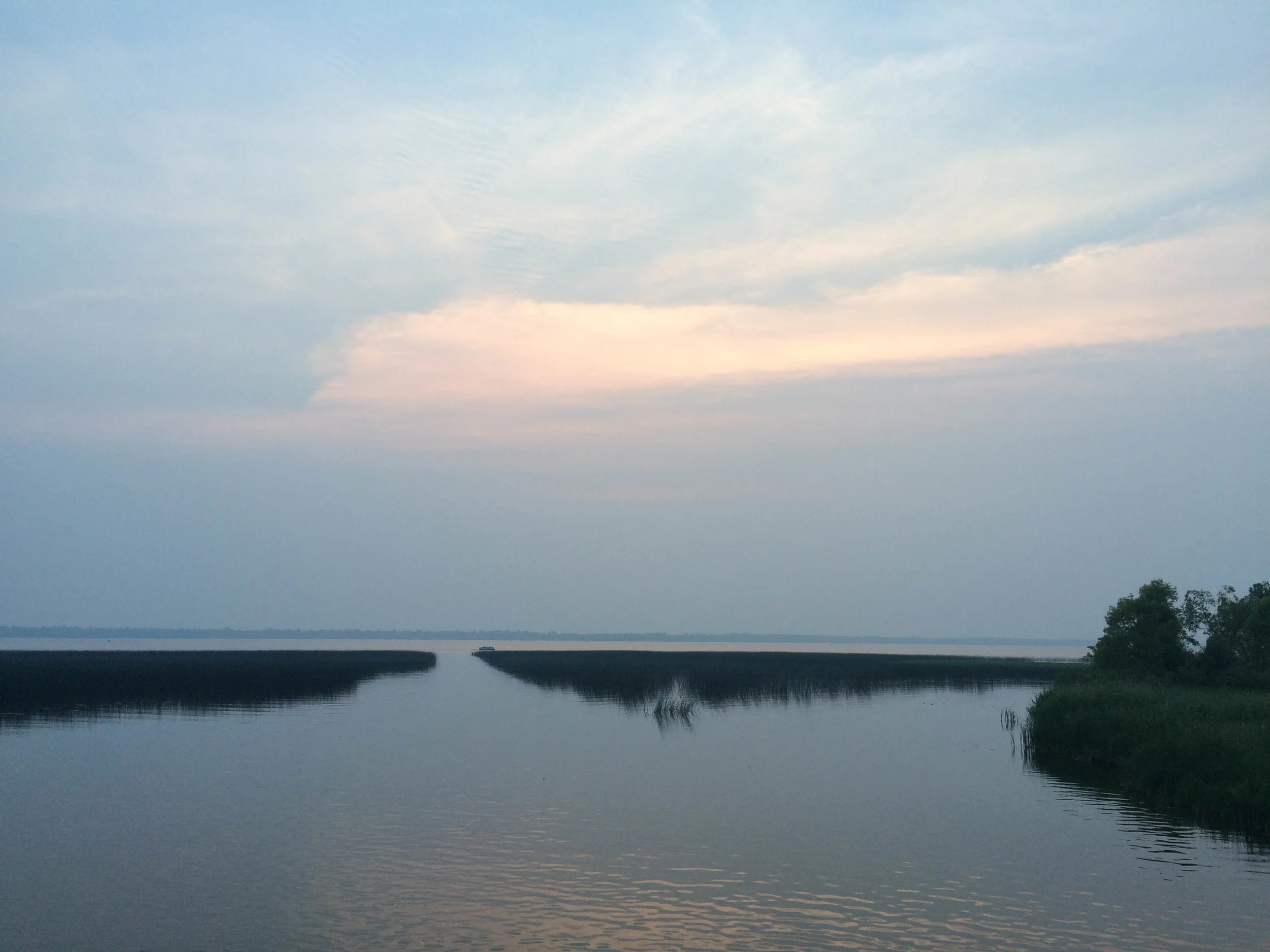 Cousin Surprise on the 4th of July!