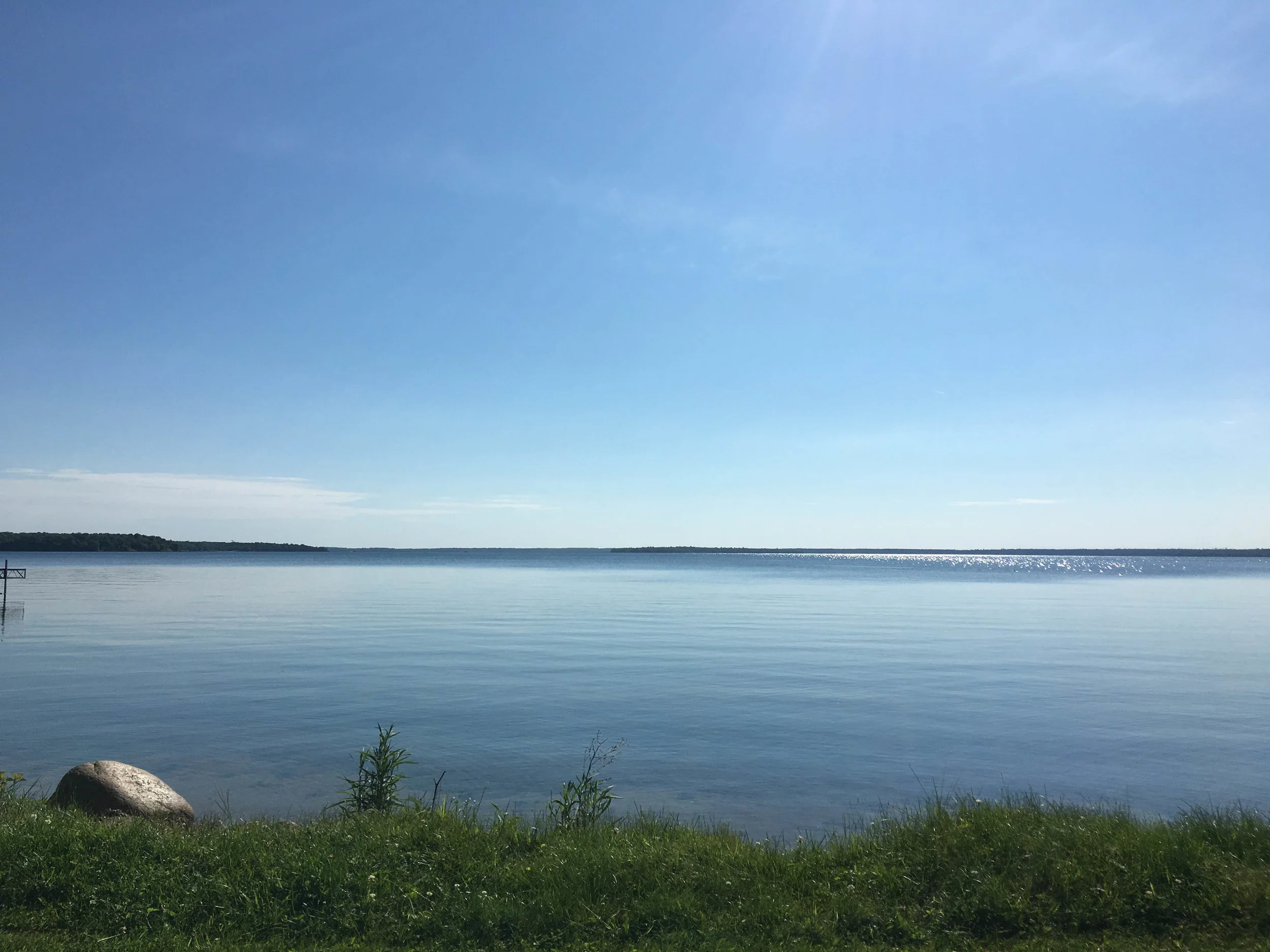 Almost "Trump" Free!